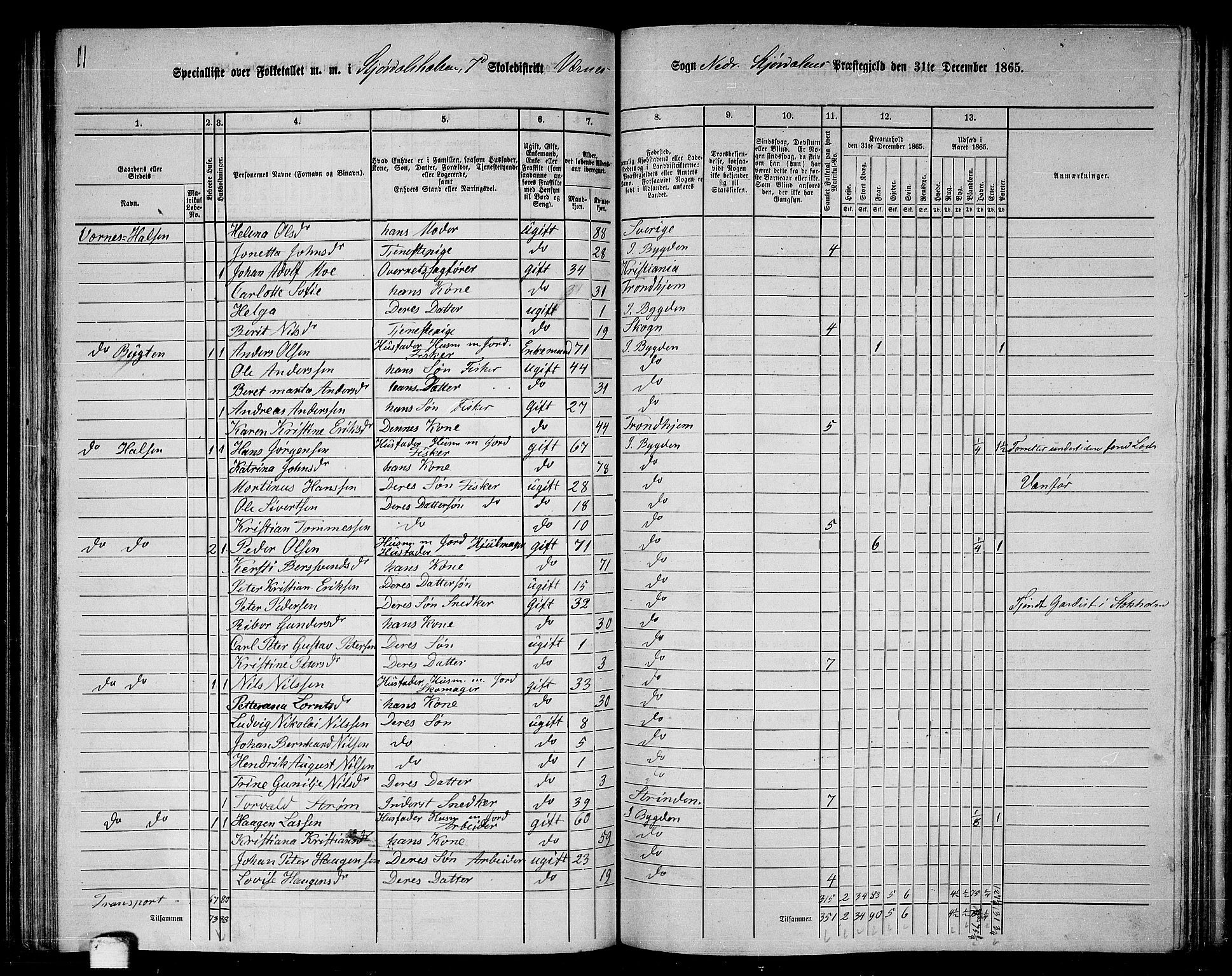 RA, 1865 census for Nedre Stjørdal, 1865, p. 162