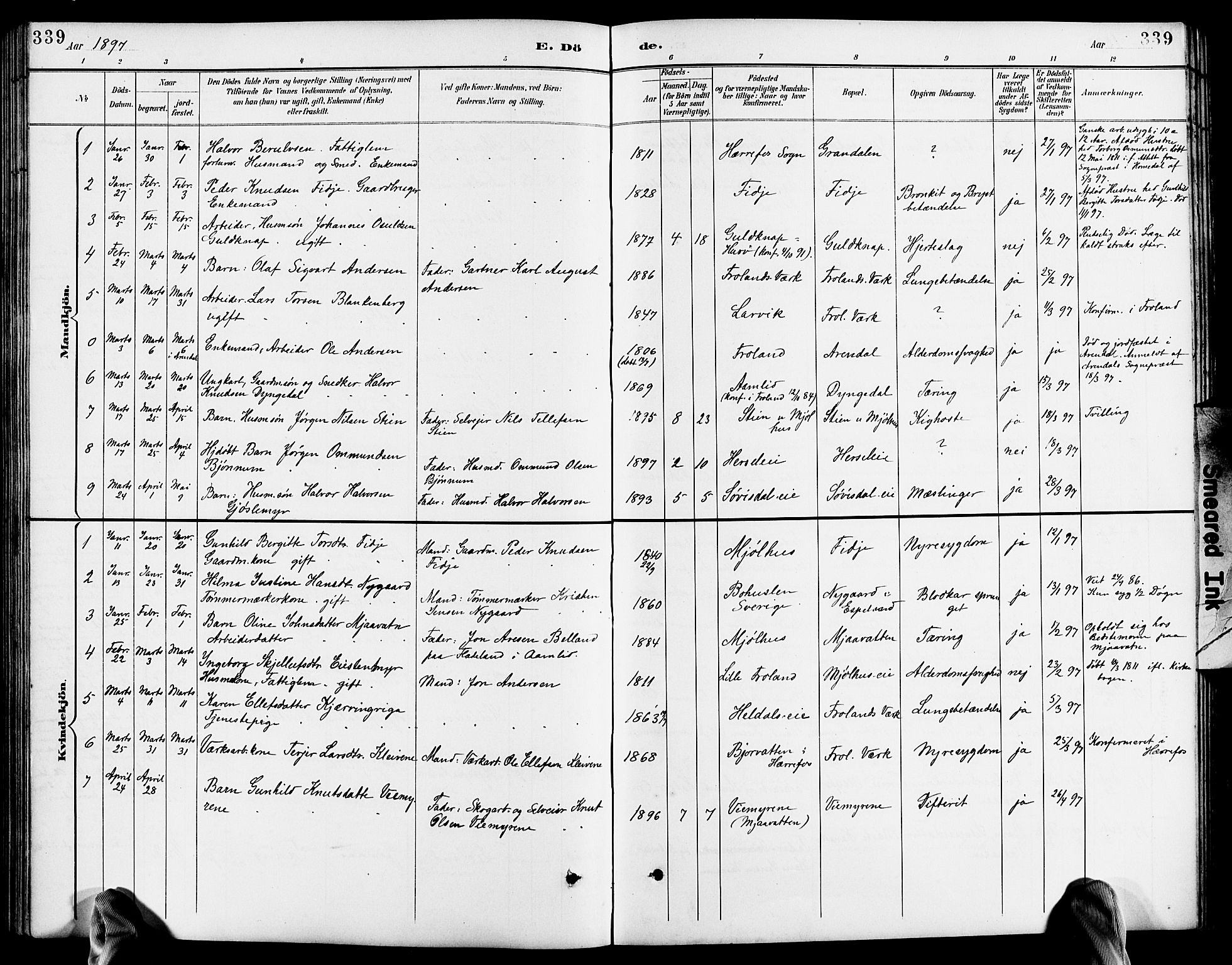 Froland sokneprestkontor, AV/SAK-1111-0013/F/Fb/L0010: Parish register (copy) no. B 10, 1893-1920, p. 339