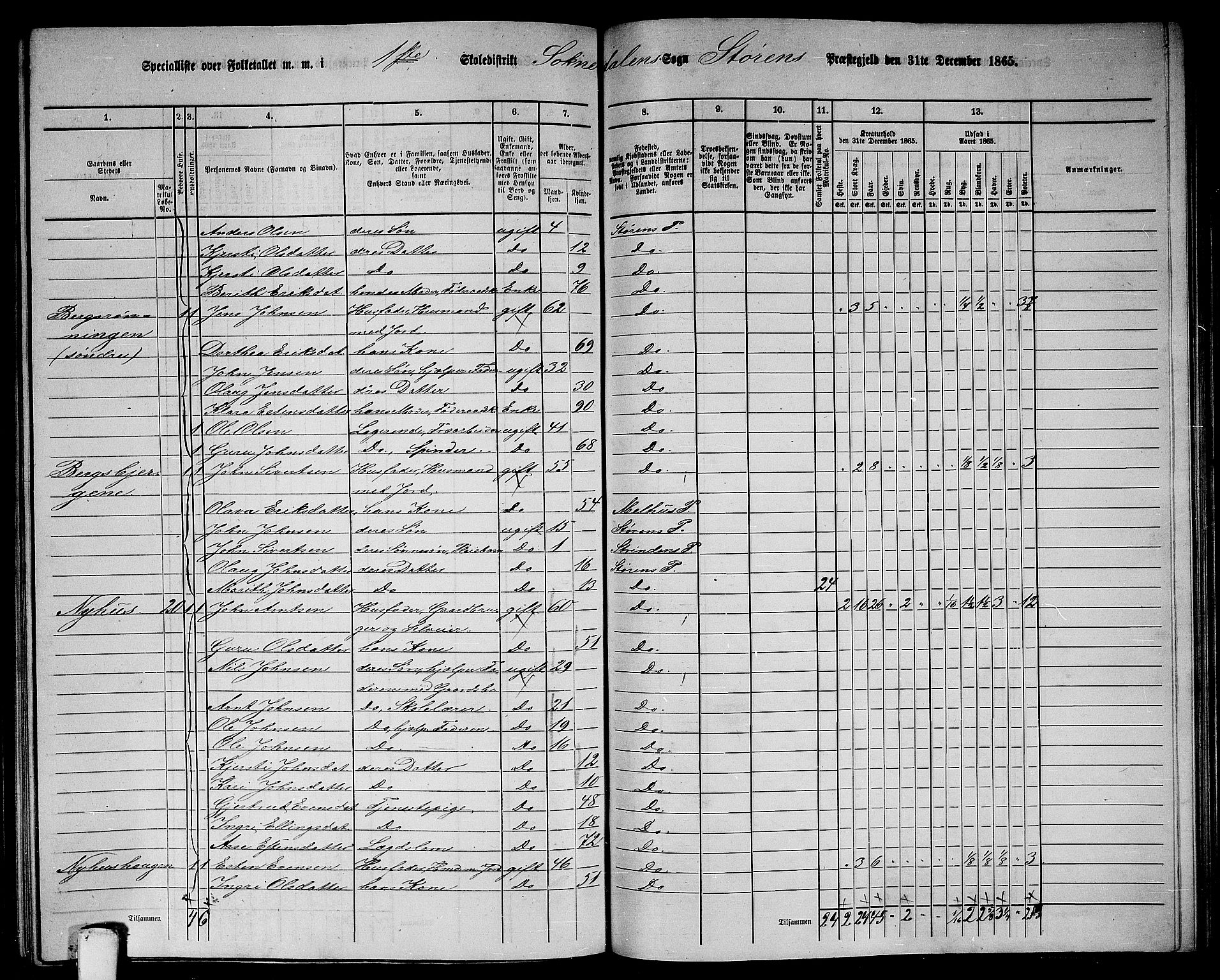 RA, 1865 census for Støren, 1865, p. 224