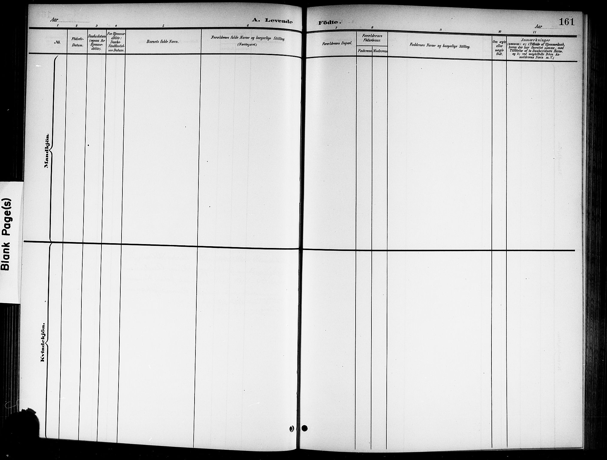 Norderhov kirkebøker, AV/SAKO-A-237/G/Gb/L0002: Parish register (copy) no. II 2, 1891-1921, p. 161