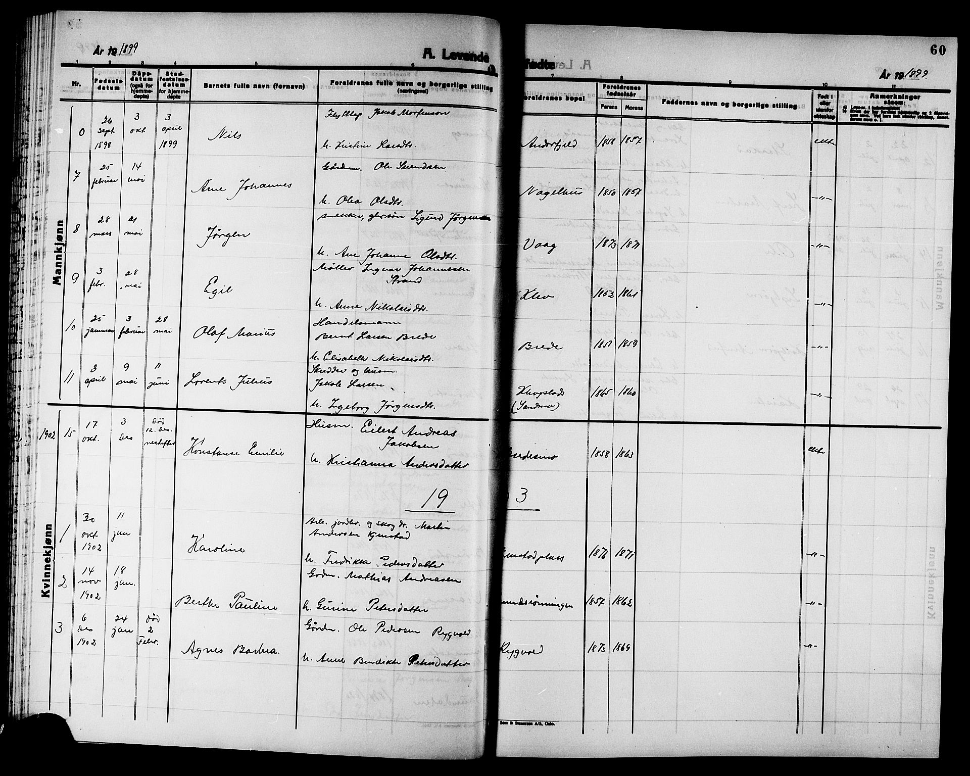 Ministerialprotokoller, klokkerbøker og fødselsregistre - Nord-Trøndelag, AV/SAT-A-1458/749/L0487: Parish register (official) no. 749D03, 1887-1902, p. 60