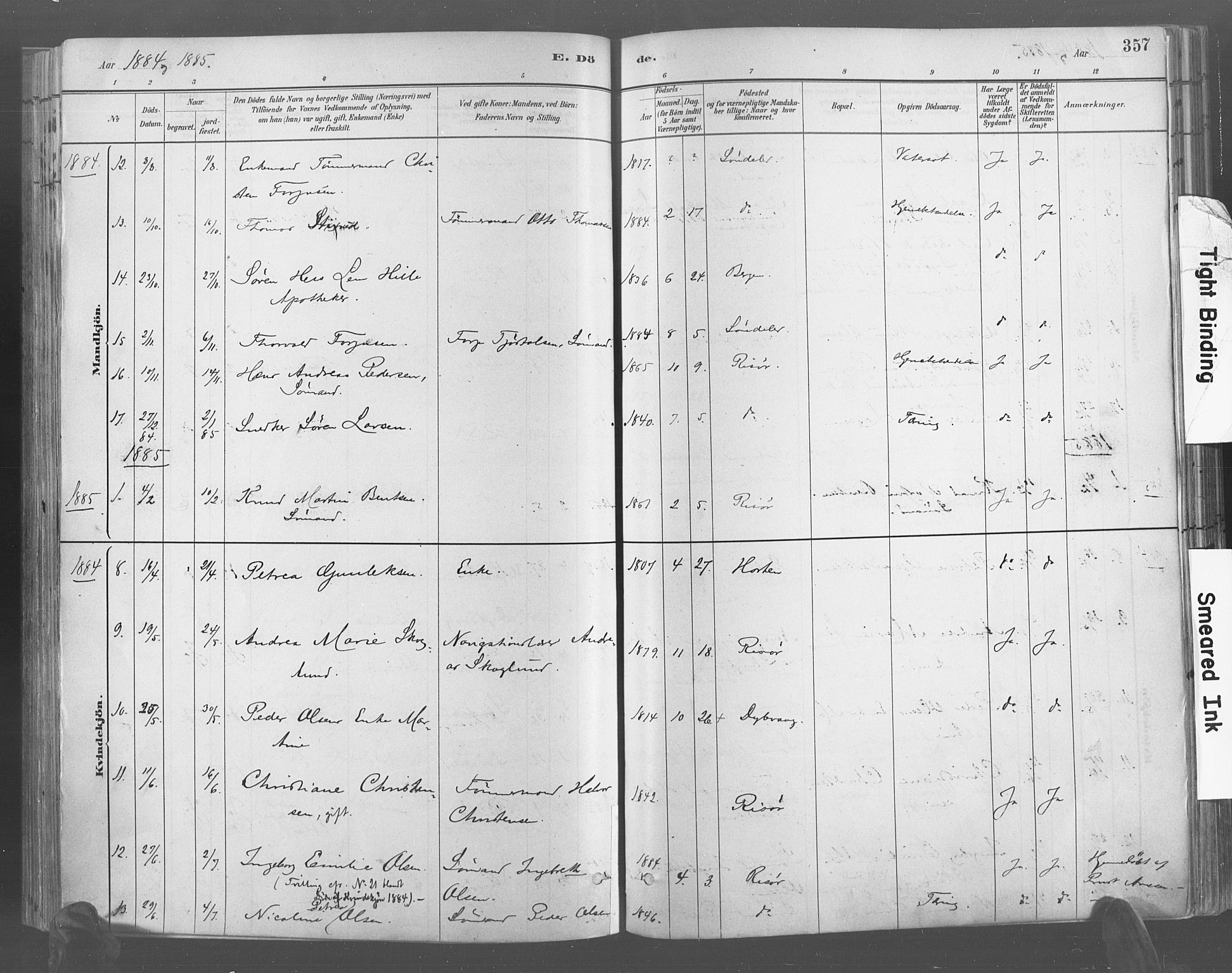 Risør sokneprestkontor, AV/SAK-1111-0035/F/Fa/L0005: Parish register (official) no. A 5, 1883-1895, p. 357