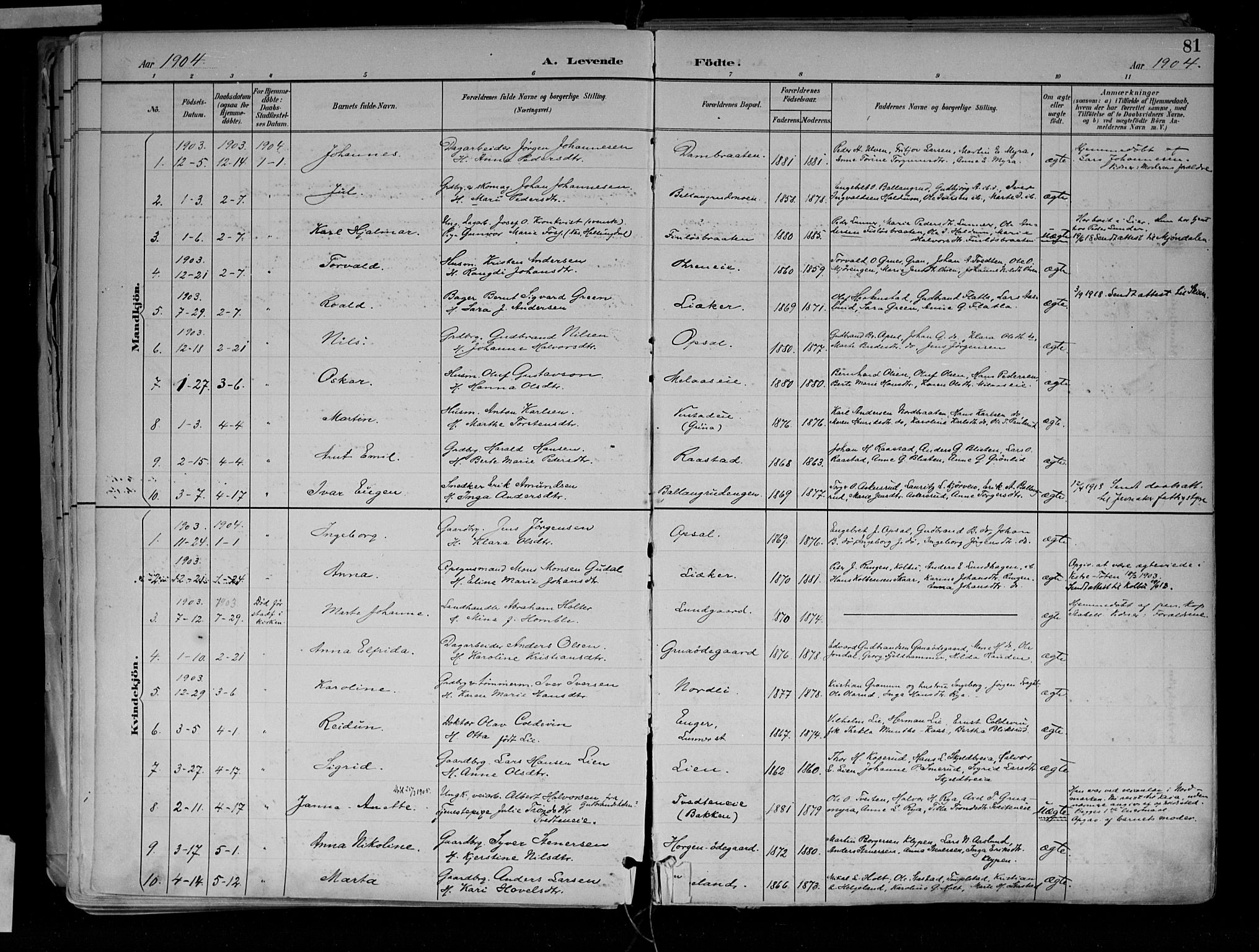 Jevnaker prestekontor, SAH/PREST-116/H/Ha/Haa/L0010: Parish register (official) no. 10, 1891-1906, p. 81