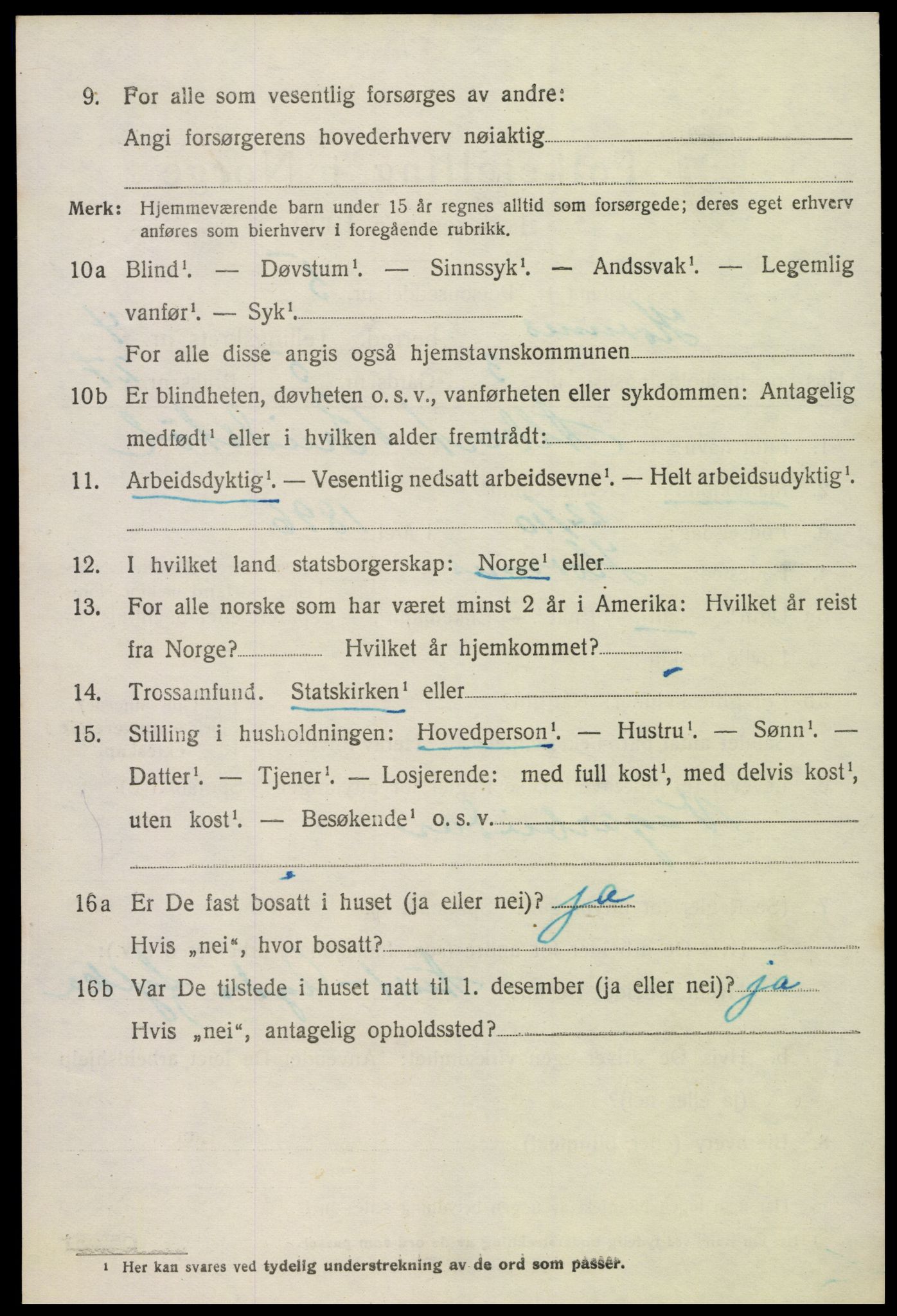 SAK, 1920 census for Hornnes, 1920, p. 1166