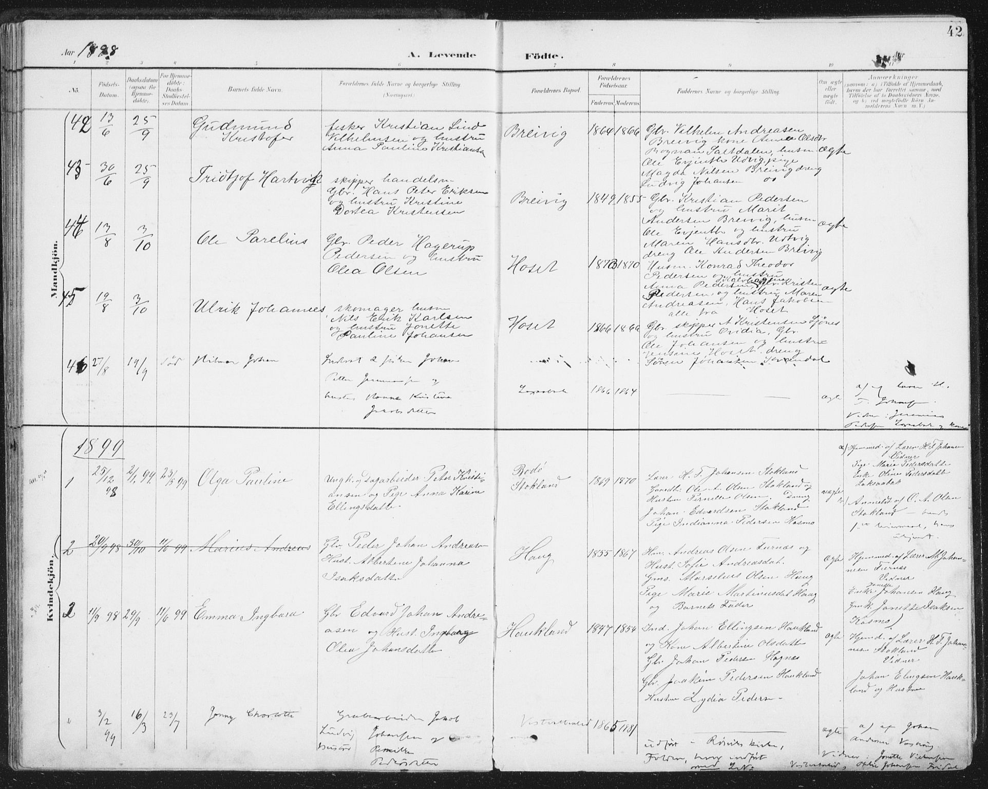 Ministerialprotokoller, klokkerbøker og fødselsregistre - Nordland, AV/SAT-A-1459/852/L0741: Parish register (official) no. 852A11, 1894-1917, p. 42