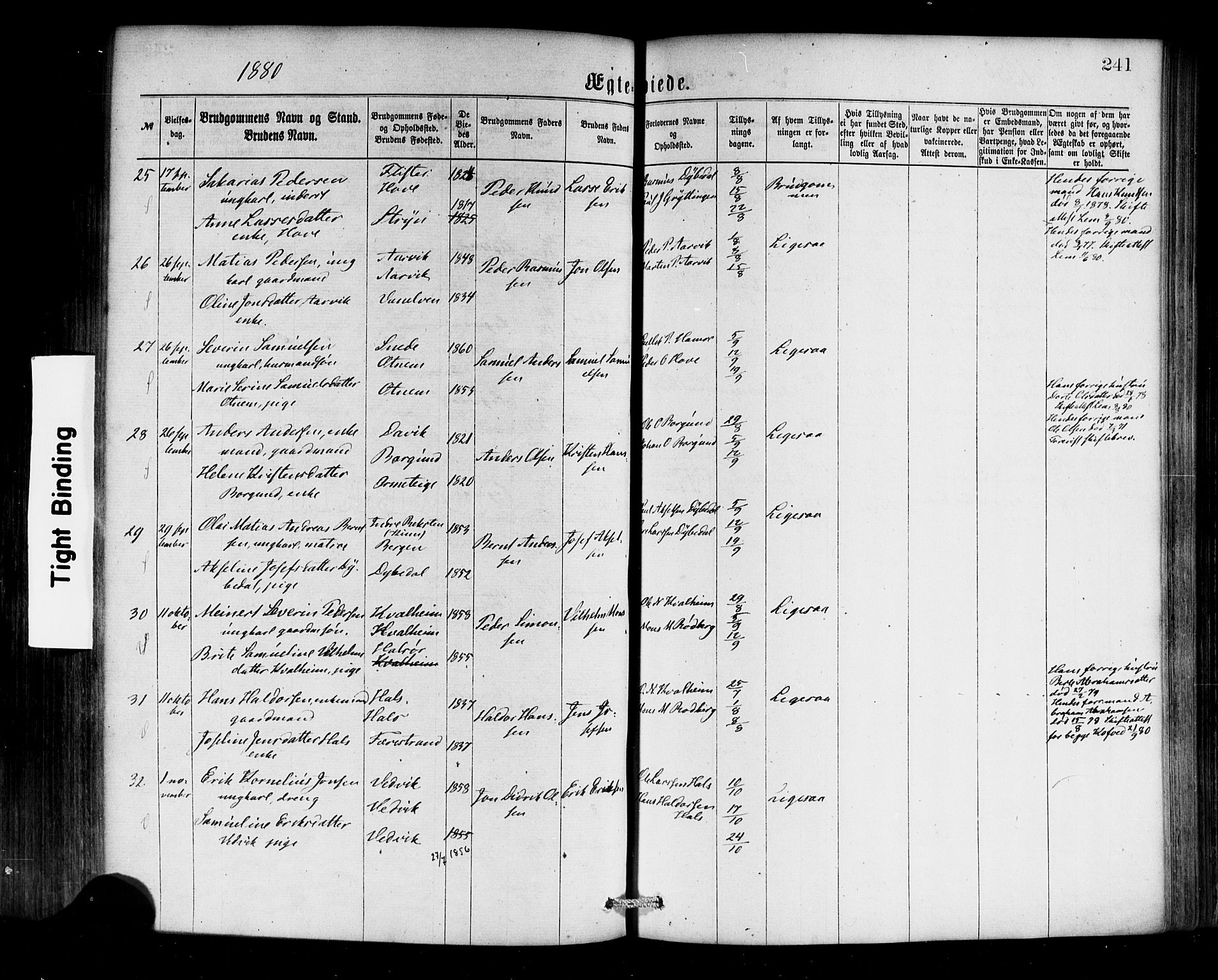 Selje sokneprestembete, AV/SAB-A-99938/H/Ha/Haa/Haaa: Parish register (official) no. A 12, 1870-1880, p. 241