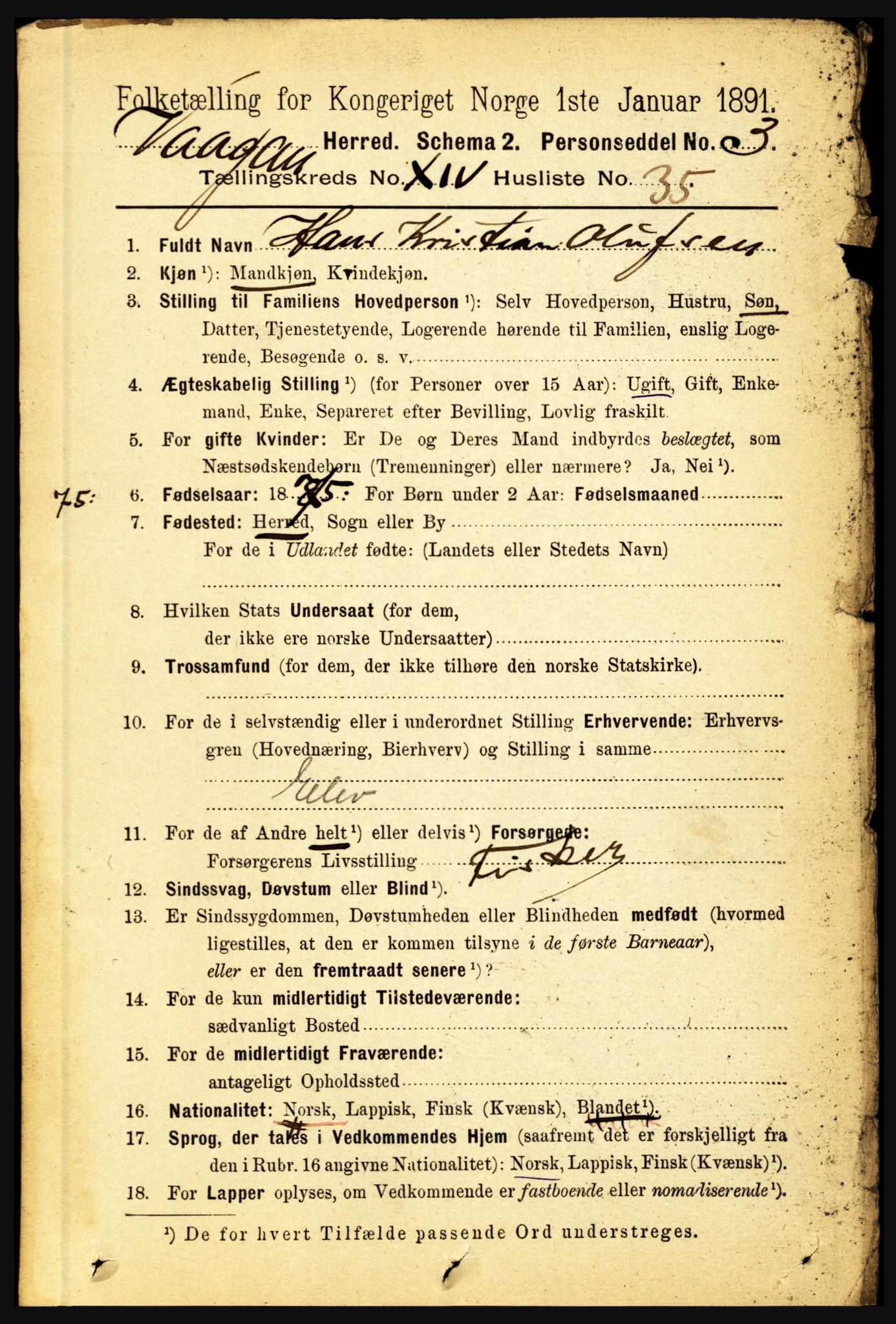 RA, 1891 census for 1865 Vågan, 1891, p. 3990