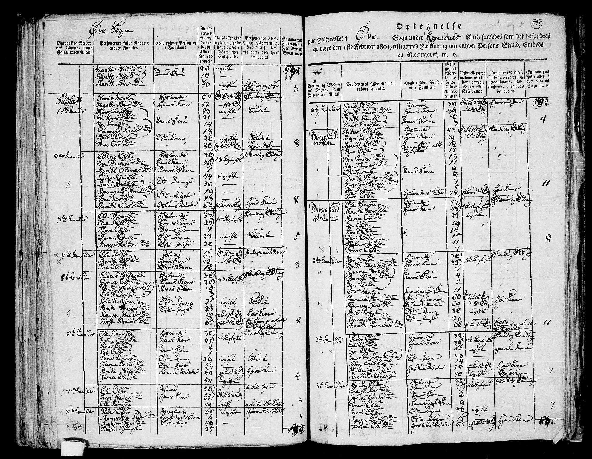 RA, 1801 census for 1560P Tingvoll, 1801, p. 592b-593a