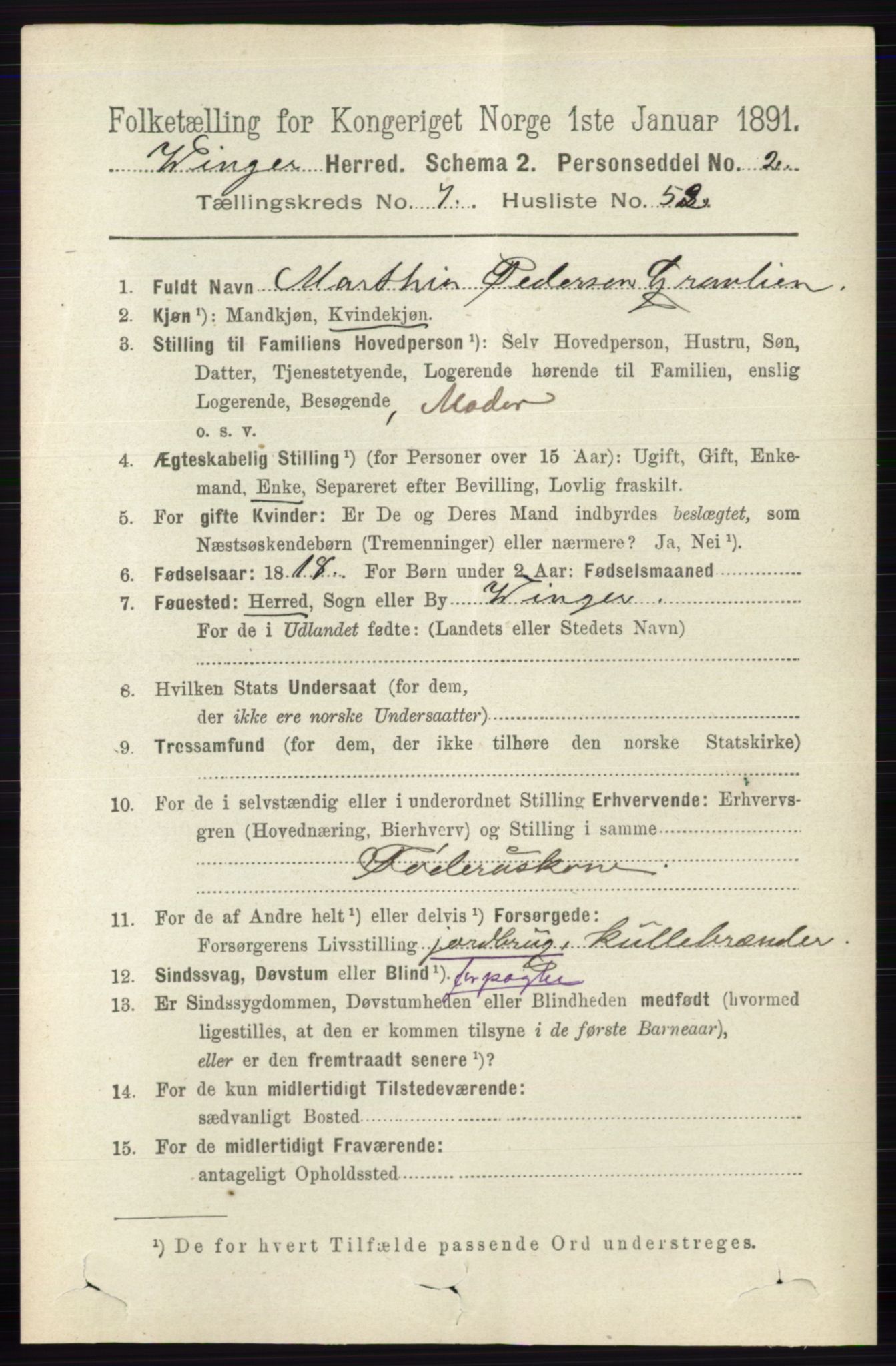 RA, 1891 census for 0421 Vinger, 1891, p. 3517