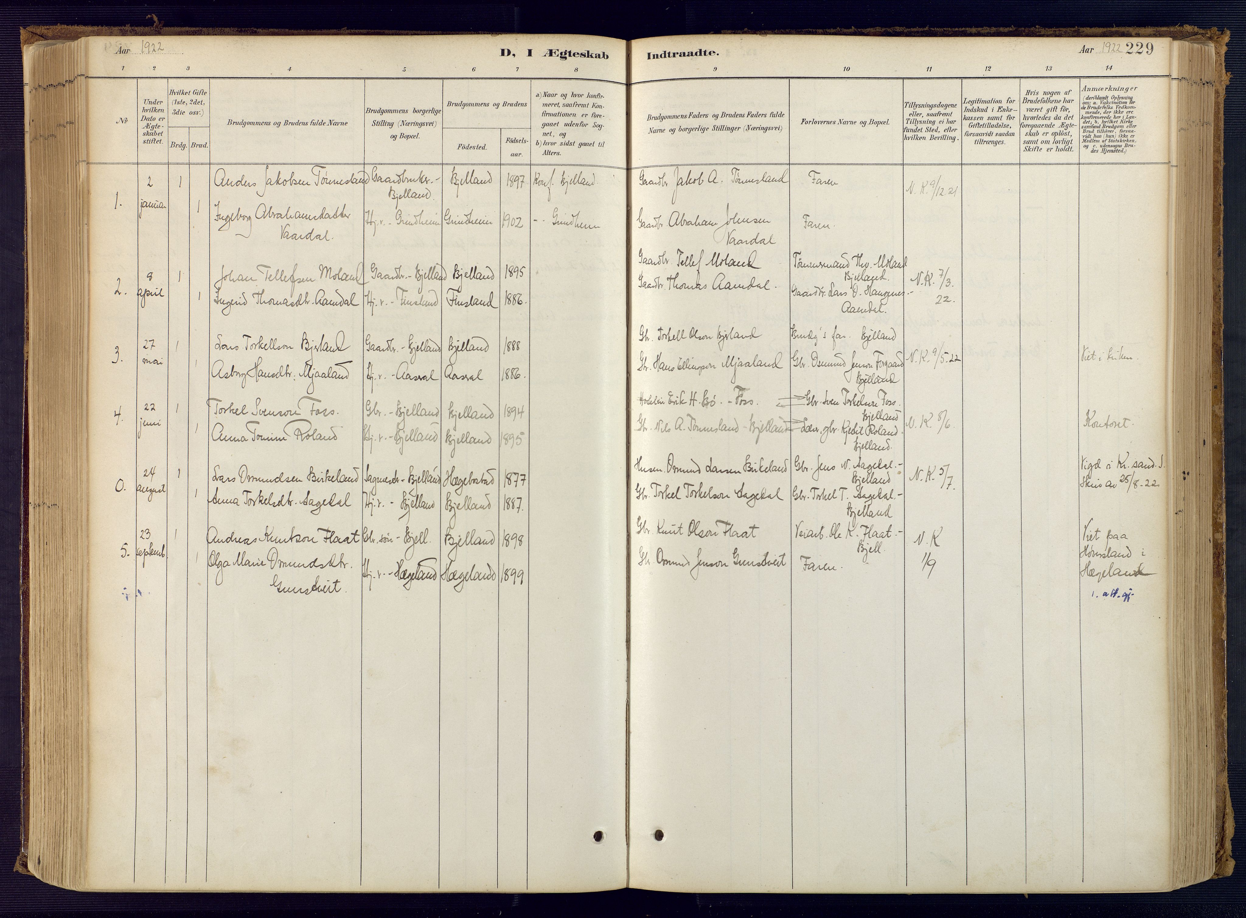 Bjelland sokneprestkontor, SAK/1111-0005/F/Fa/Faa/L0004: Parish register (official) no. A 4, 1887-1923, p. 229