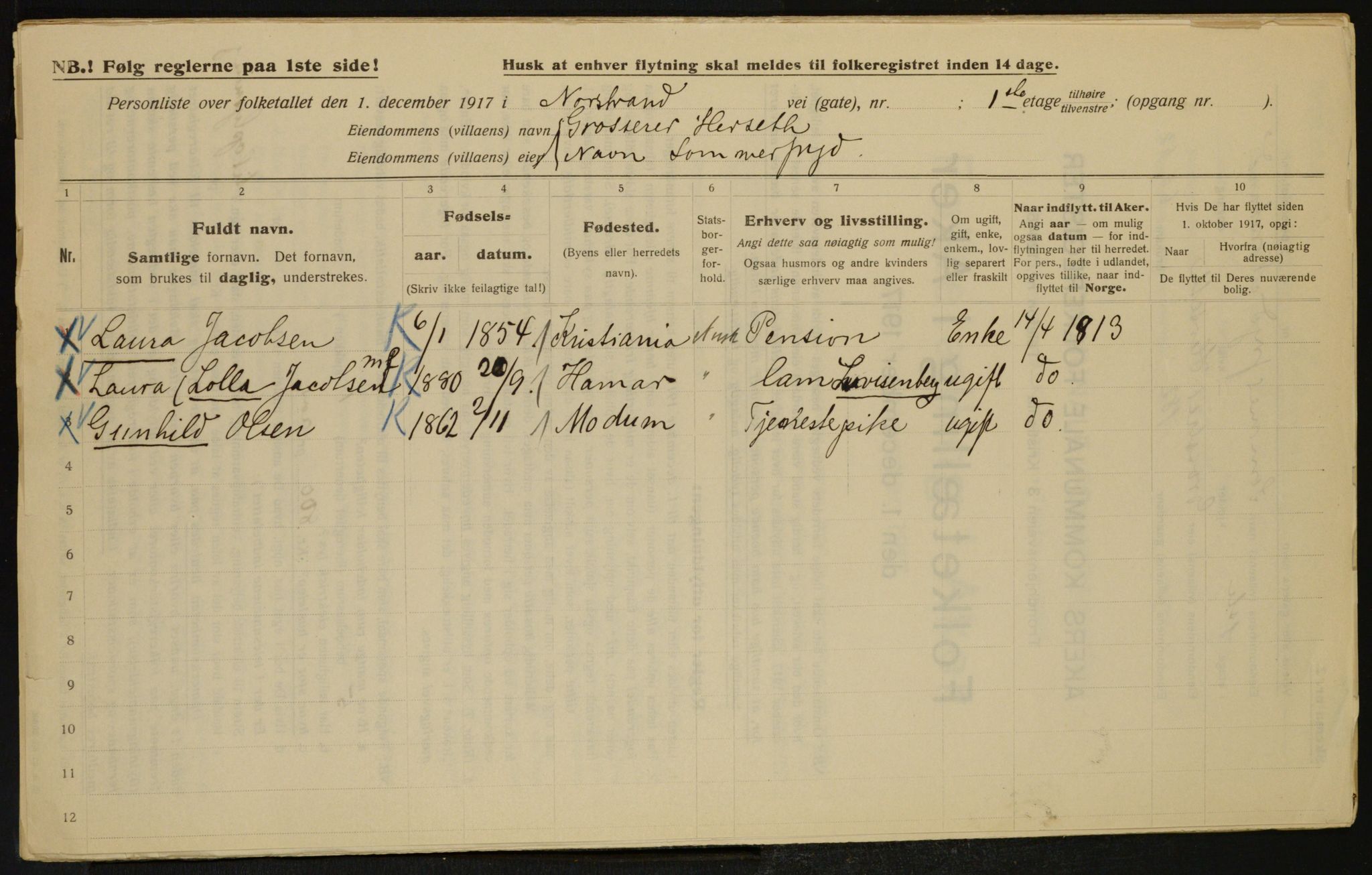 OBA, Municipal Census 1917 for Aker, 1917, p. 18596