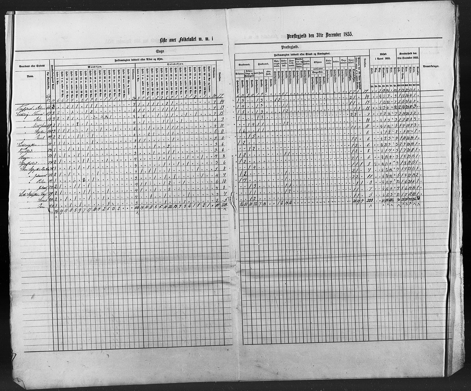 SAT, Census 1855 for Borgund, 1855, p. 20