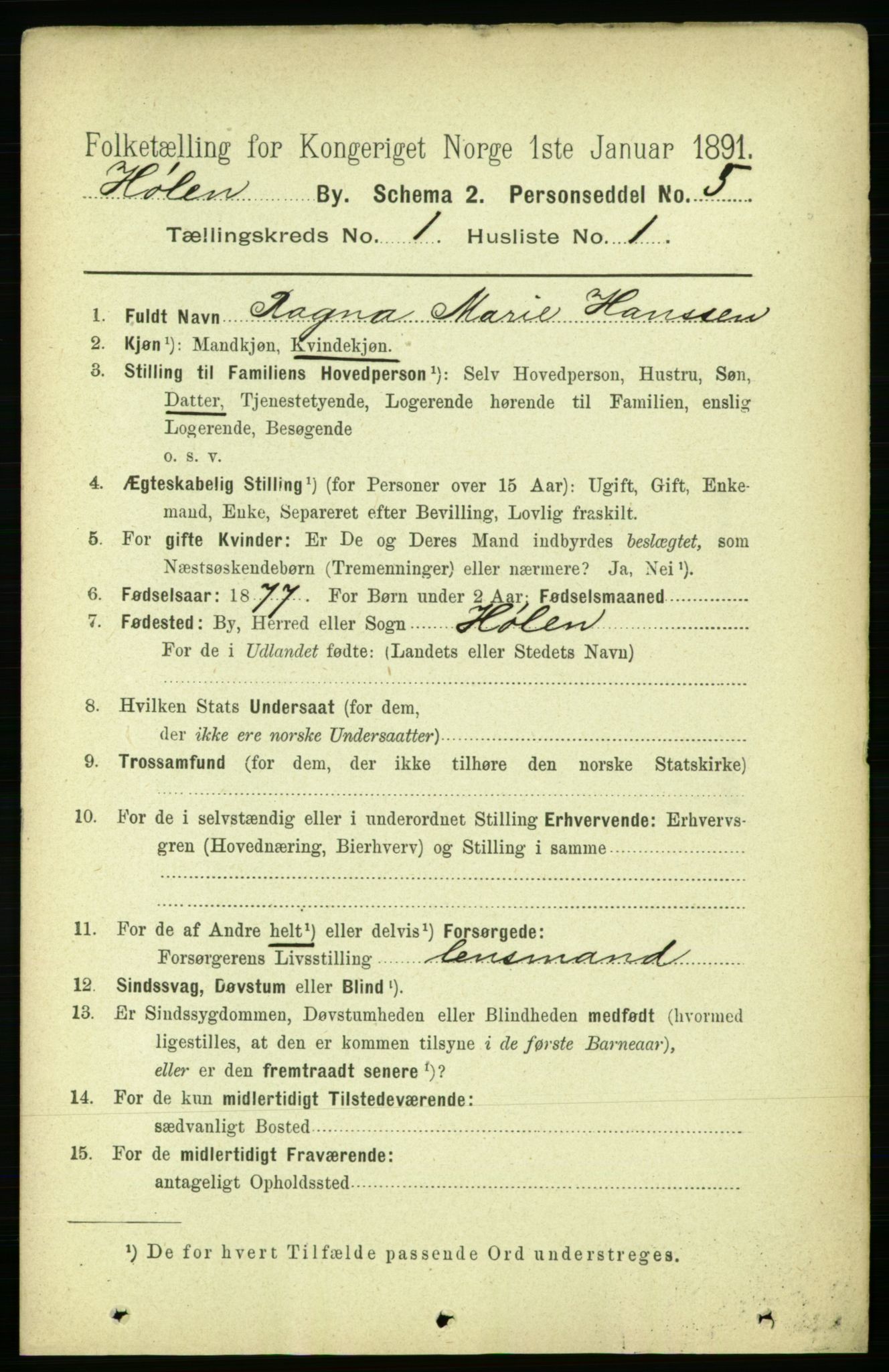 RA, 1891 census for 0204 Hølen, 1891, p. 13