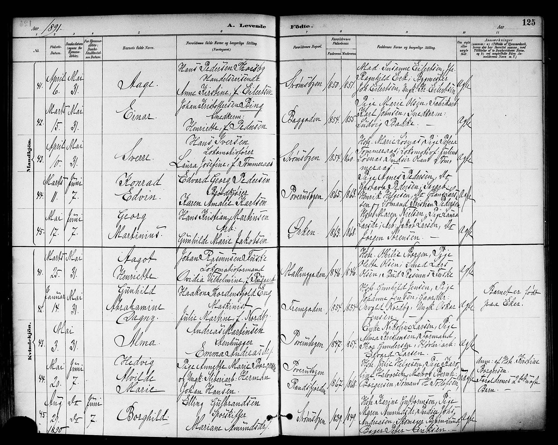 Strømsø kirkebøker, AV/SAKO-A-246/F/Fa/L0023: Parish register (official) no. I 23, 1885-1894, p. 125