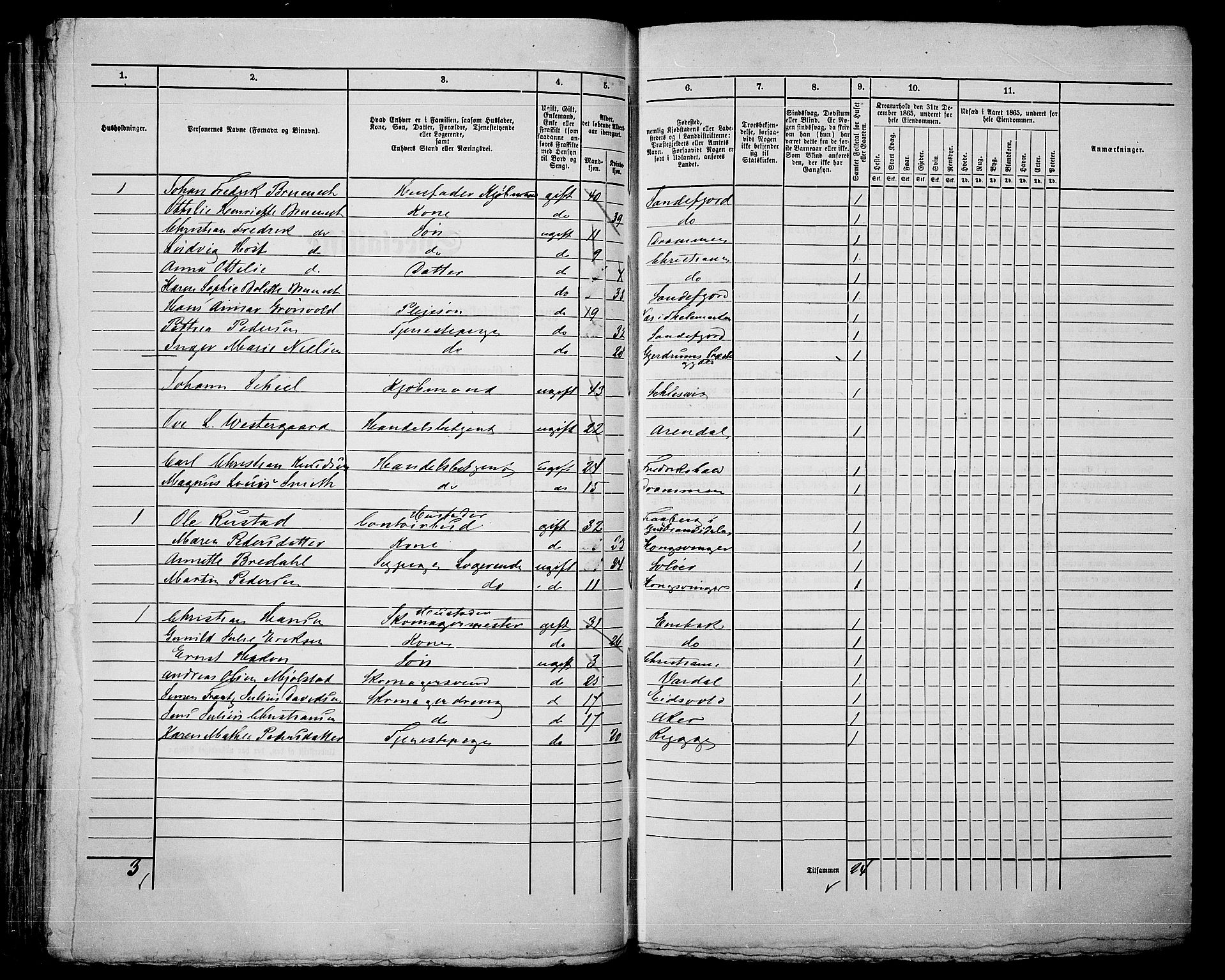 RA, 1865 census for Kristiania, 1865, p. 271