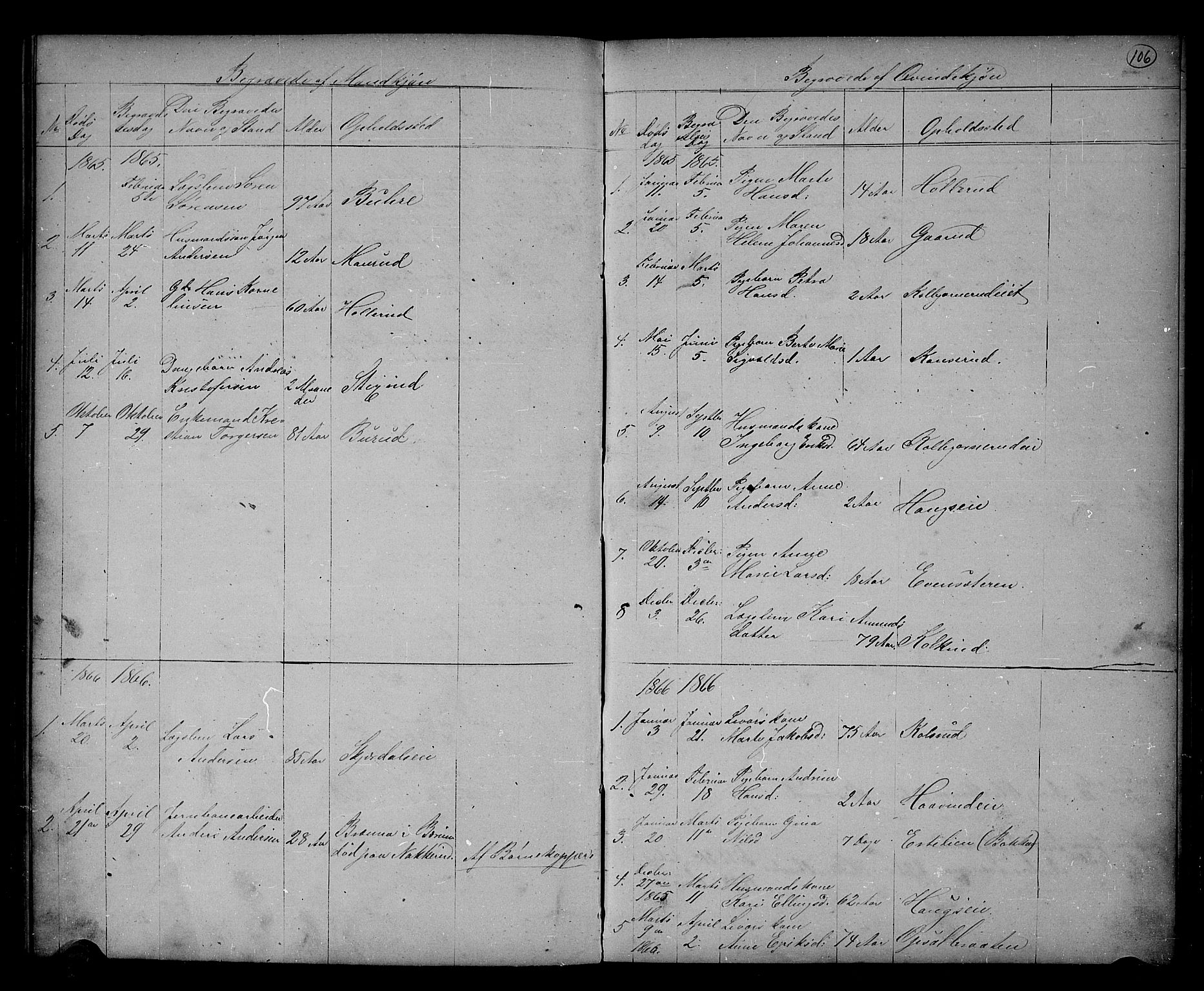 Hole kirkebøker, SAKO/A-228/G/Gb/L0001: Parish register (copy) no. II 1, 1859-1878, p. 106