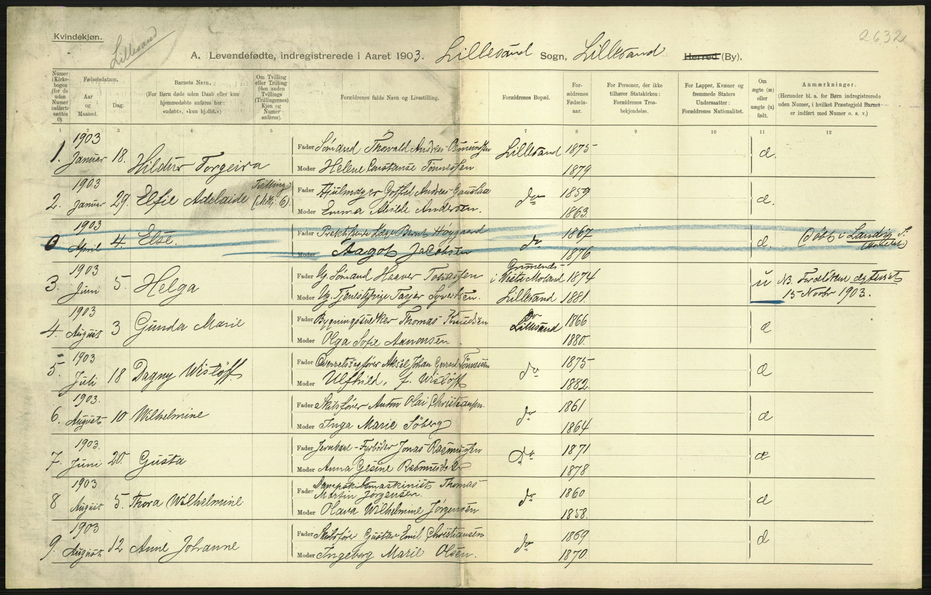 Statistisk sentralbyrå, Sosiodemografiske emner, Befolkning, RA/S-2228/D/Df/Dfa/Dfaa/L0010: Nedenes amt: Fødte, gifte, døde, 1903, p. 201