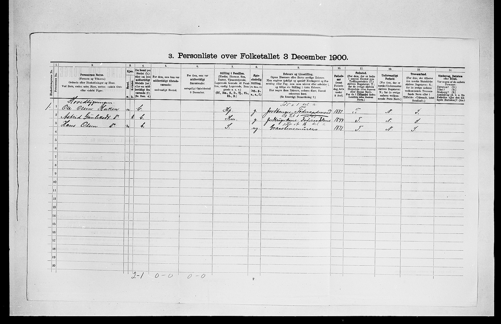 SAKO, 1900 census for Hovin, 1900, p. 260
