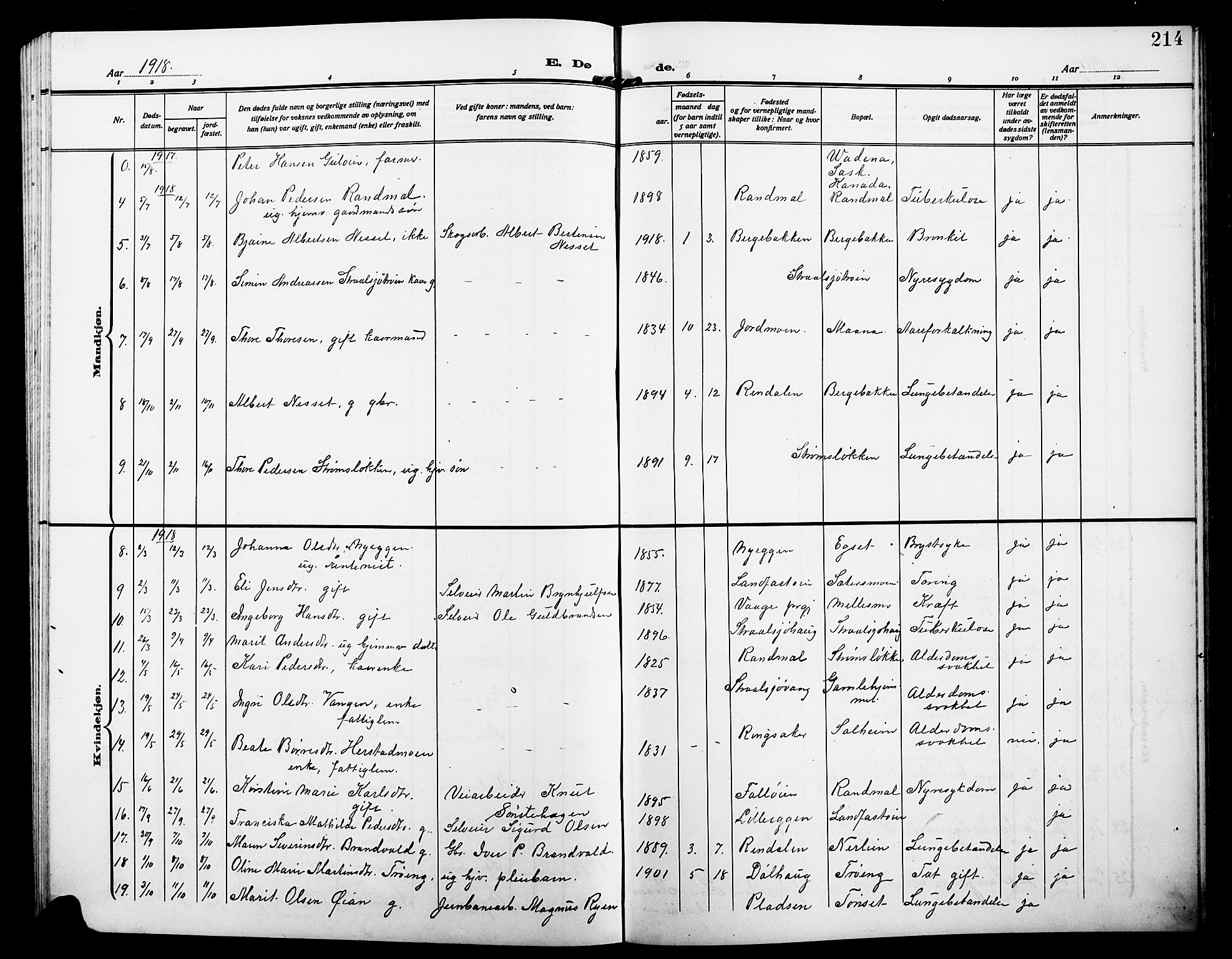 Alvdal prestekontor, SAH/PREST-060/H/Ha/Hab/L0005: Parish register (copy) no. 5, 1908-1923, p. 214