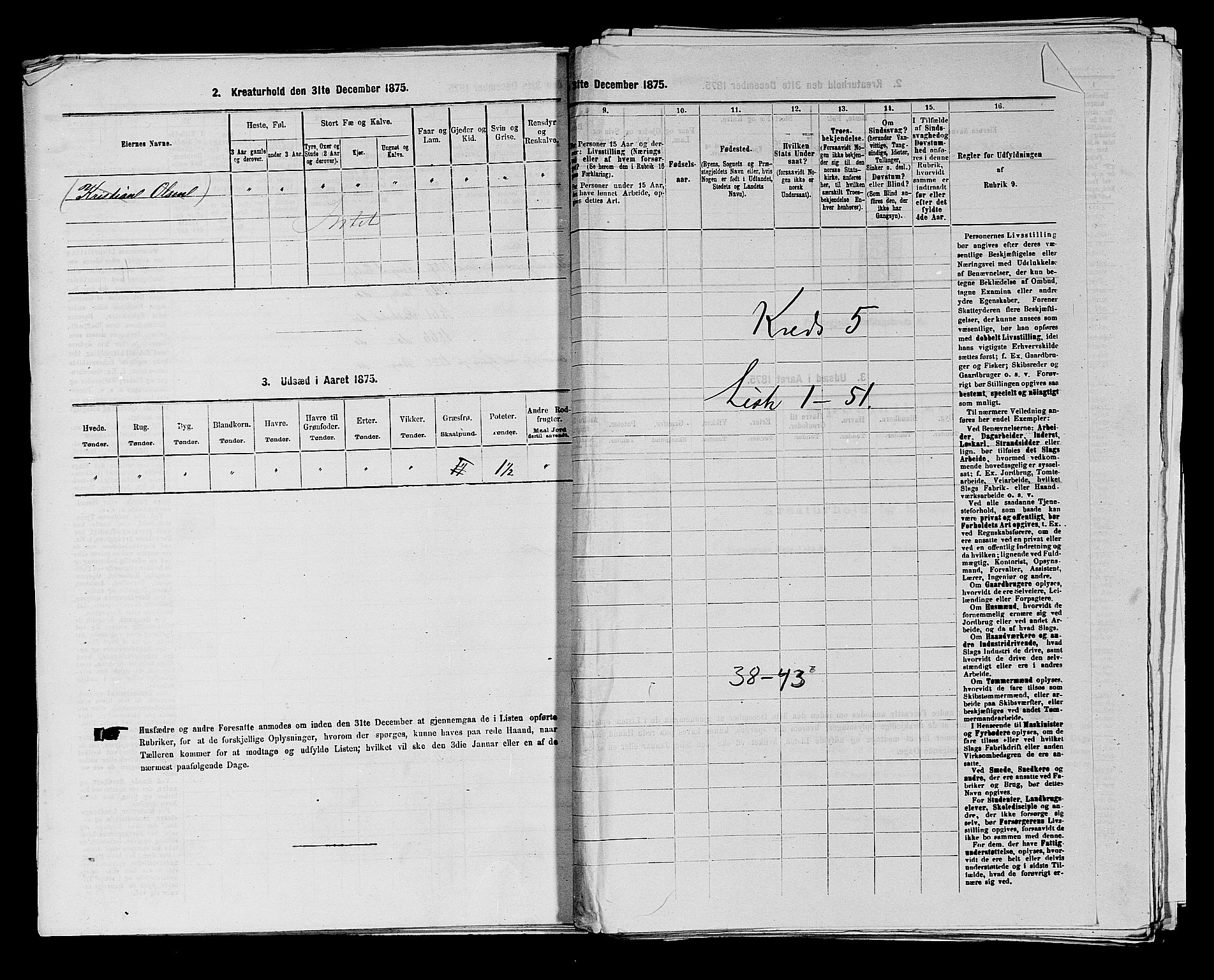 RA, 1875 census for 0113P Borge, 1875, p. 700