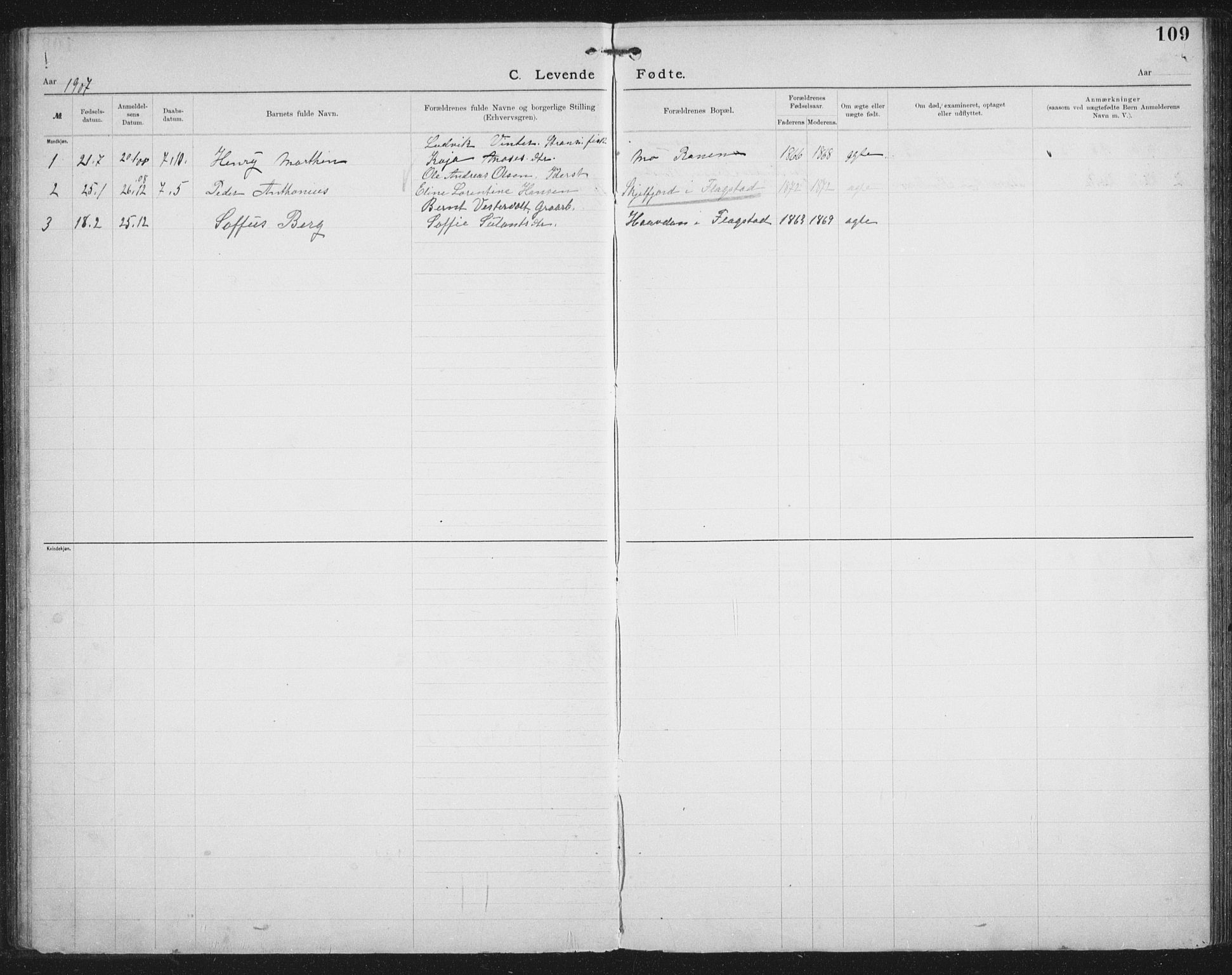 Ministerialprotokoller, klokkerbøker og fødselsregistre - Nordland, AV/SAT-A-1459/881/L1174: Dissenter register no. 881D01, 1891-1933, p. 109