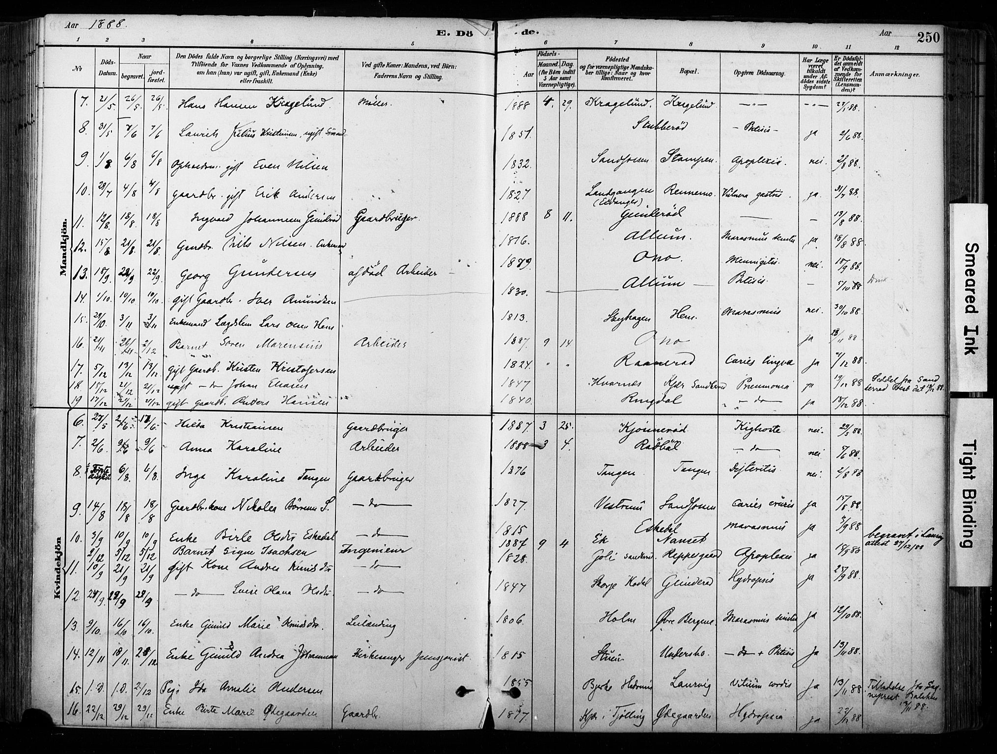 Hedrum kirkebøker, AV/SAKO-A-344/F/Fa/L0009: Parish register (official) no. I 9, 1881-1903, p. 250