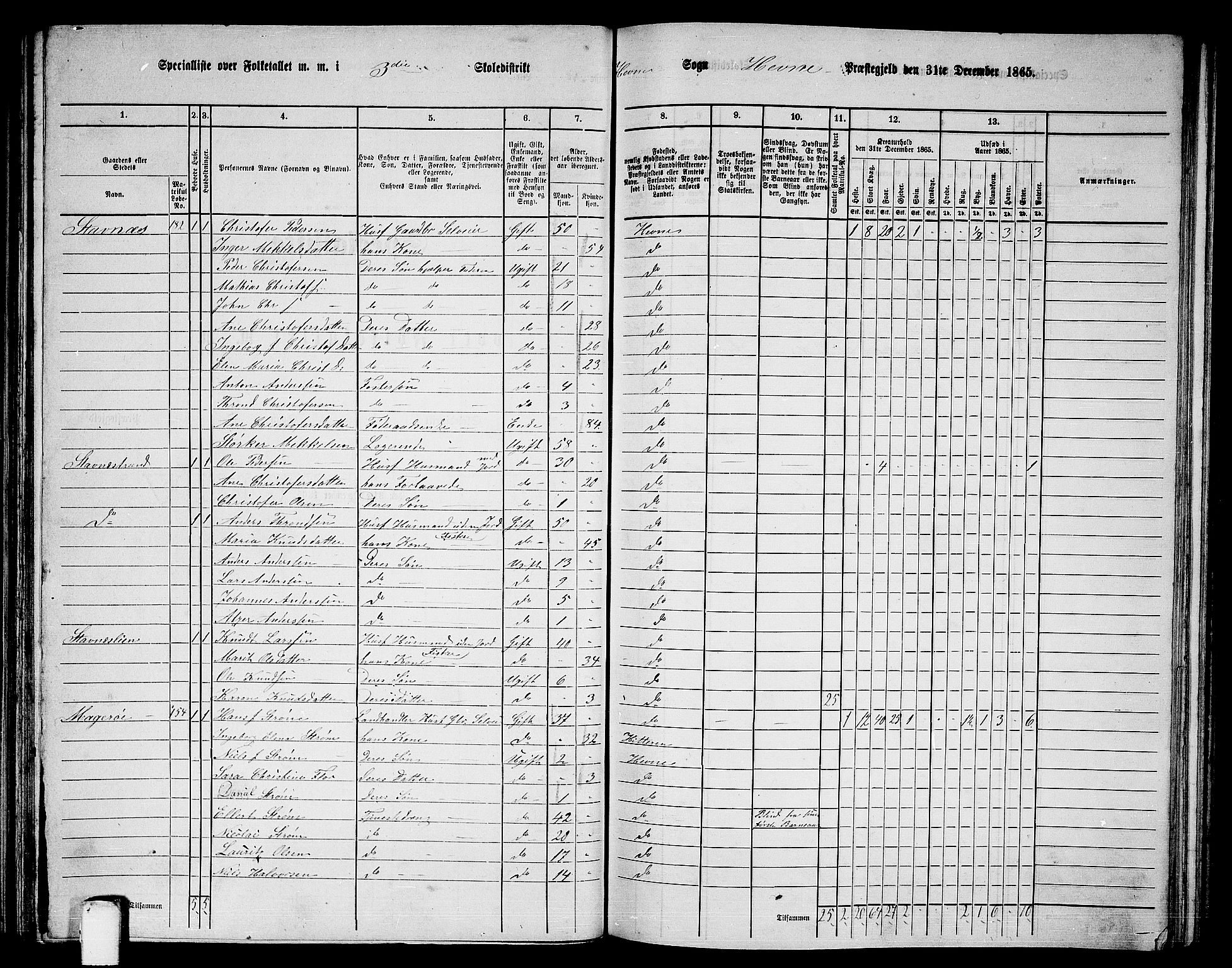 RA, 1865 census for Hemne, 1865, p. 72