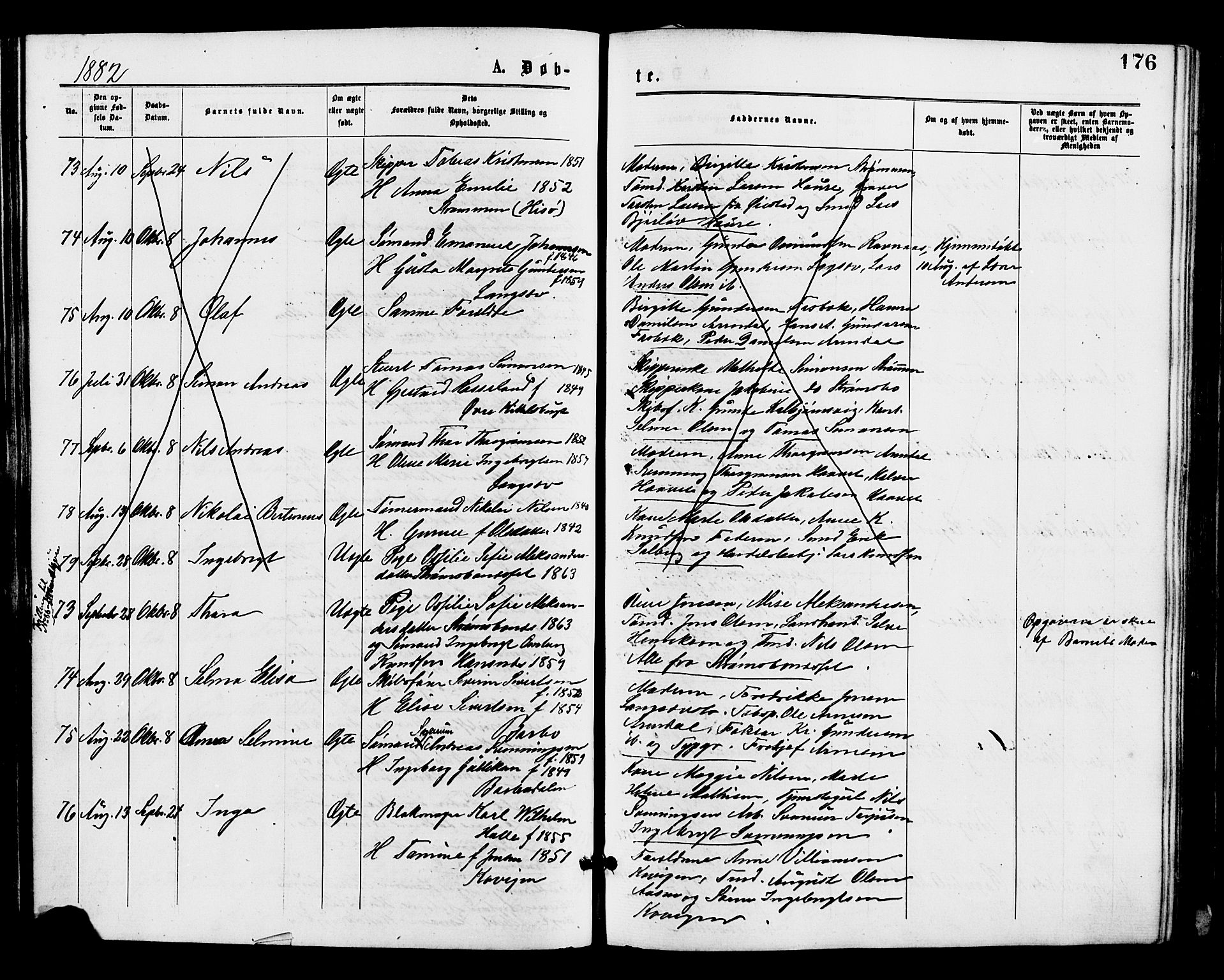 Barbu sokneprestkontor, AV/SAK-1111-0003/F/Fa/L0001: Parish register (official) no. A 1 /1, 1878-1883, p. 176