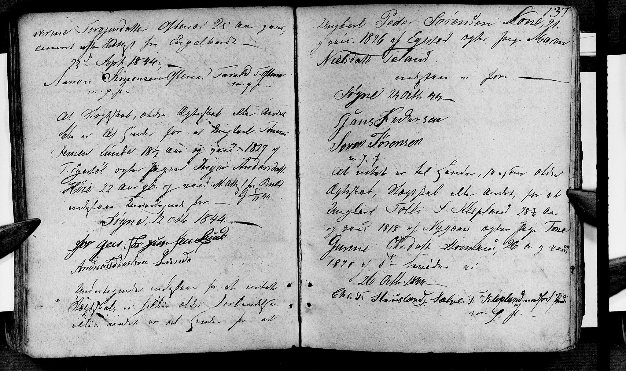 Søgne sokneprestkontor, SAK/1111-0037/F/Fa/Fab/L0007: Parish register (official) no. A 7, 1791-1851, p. 137