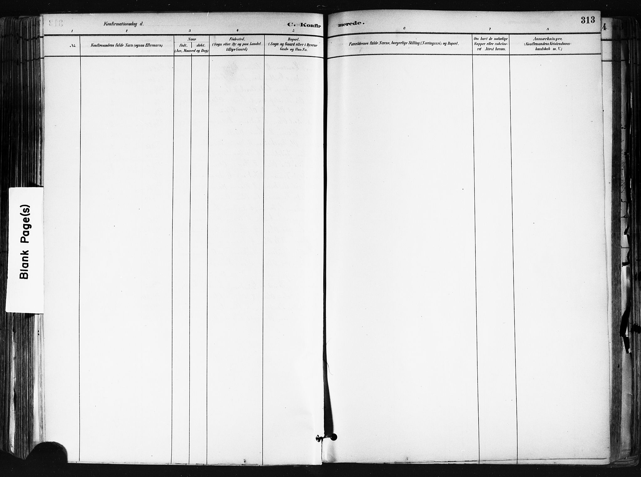 Nes prestekontor Kirkebøker, AV/SAO-A-10410/F/Fa/L0010: Parish register (official) no. I 10, 1883-1898, p. 313