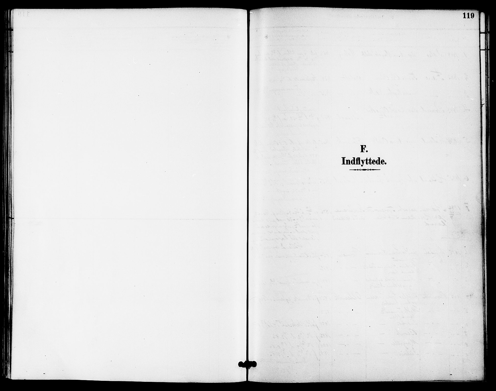 Høgsfjord sokneprestkontor, SAST/A-101624/H/Ha/Haa/L0005: Parish register (official) no. A 5, 1885-1897, p. 119