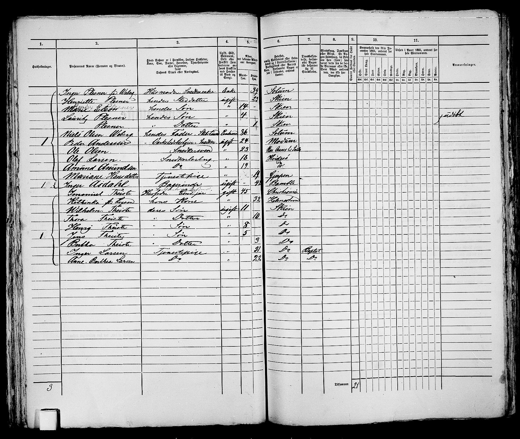 RA, 1865 census for Skien, 1865, p. 451