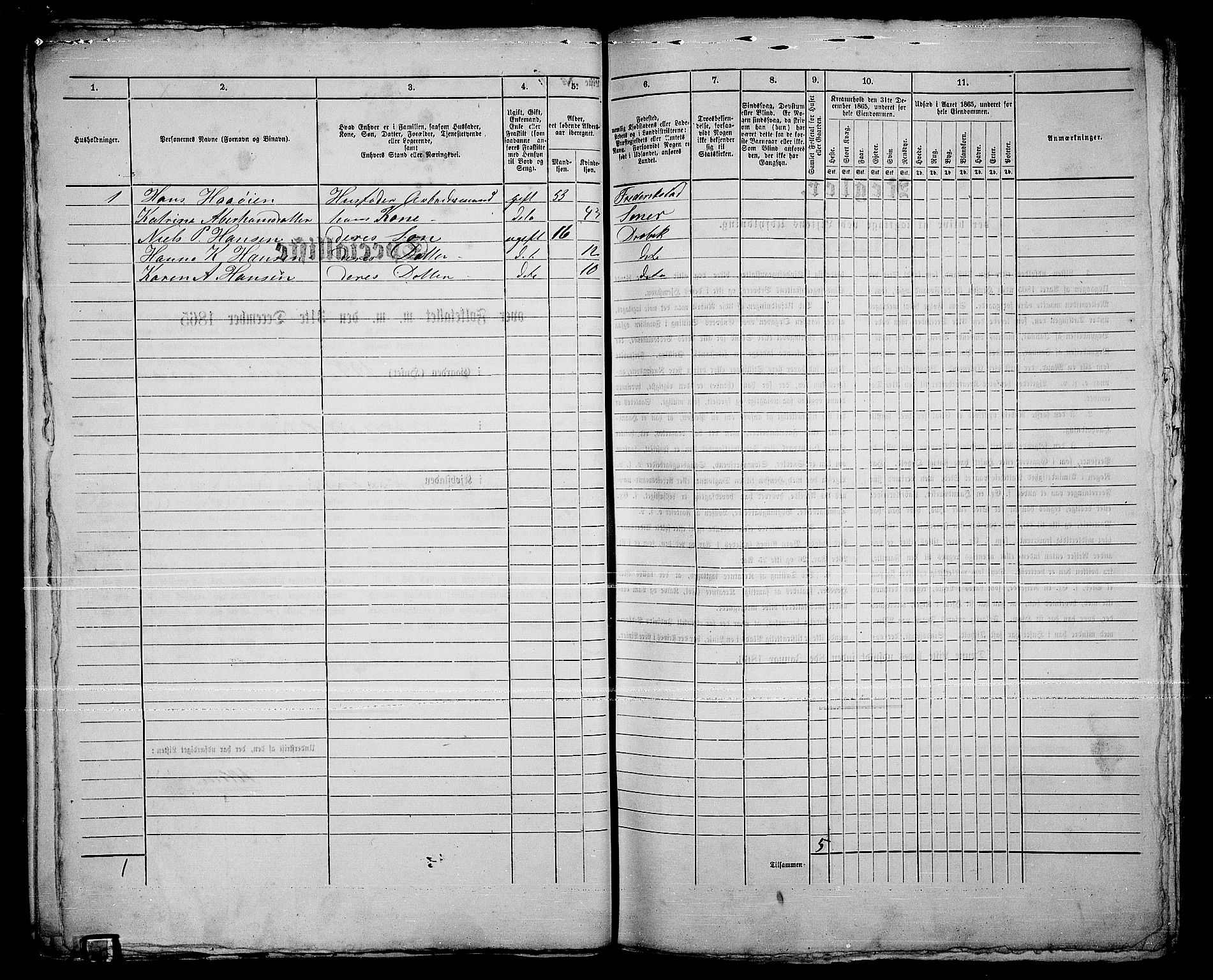 RA, 1865 census for Drøbak/Drøbak, 1865, p. 21