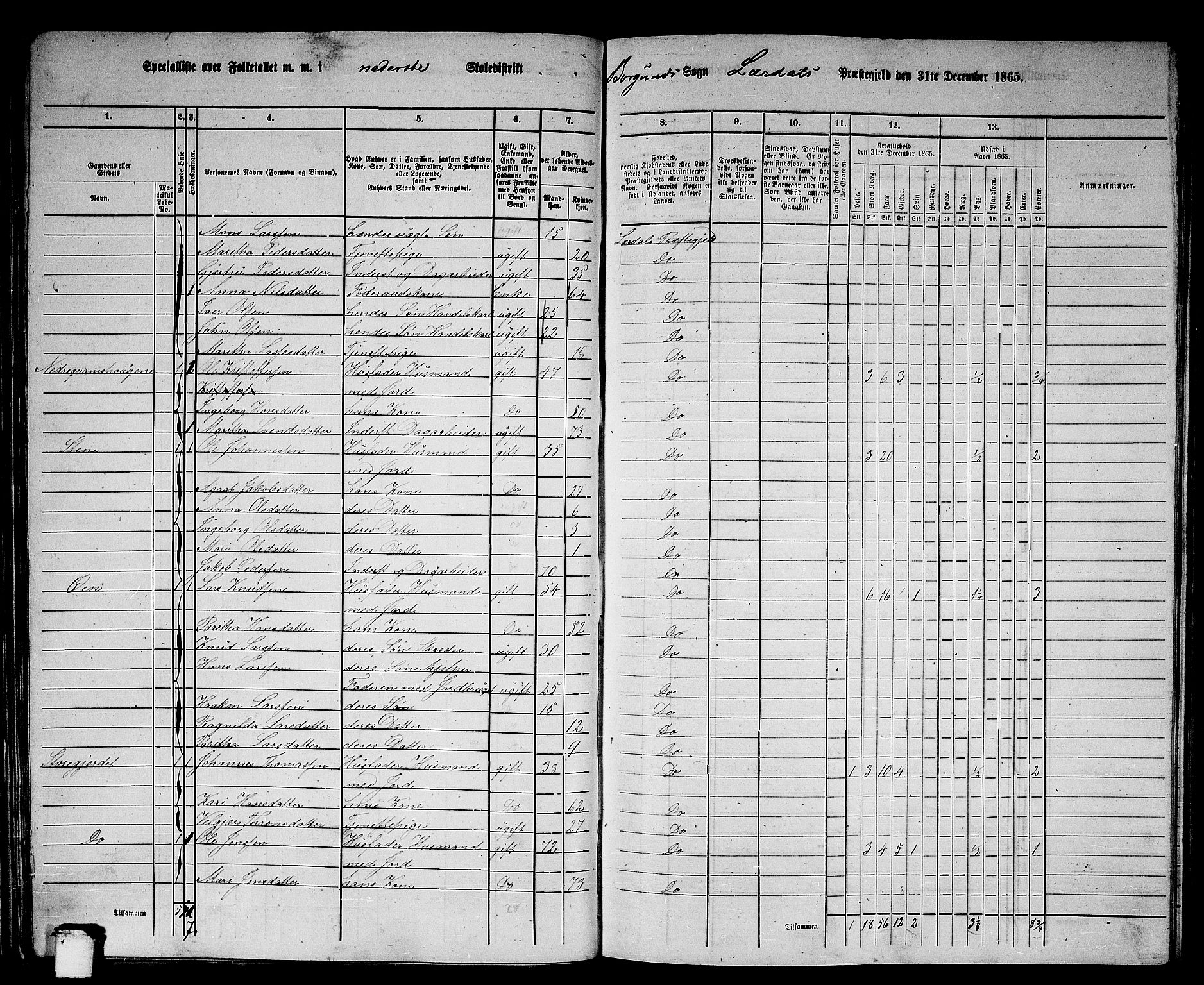 RA, 1865 census for Lærdal, 1865, p. 35