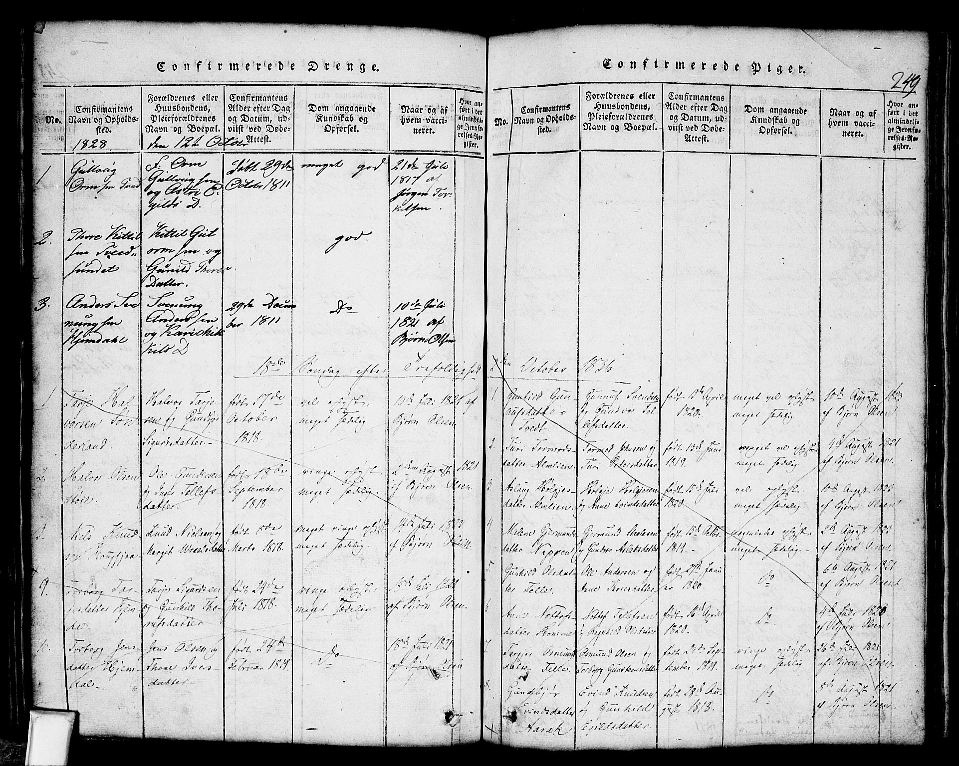 Nissedal kirkebøker, SAKO/A-288/G/Gb/L0001: Parish register (copy) no. II 1, 1814-1862, p. 249