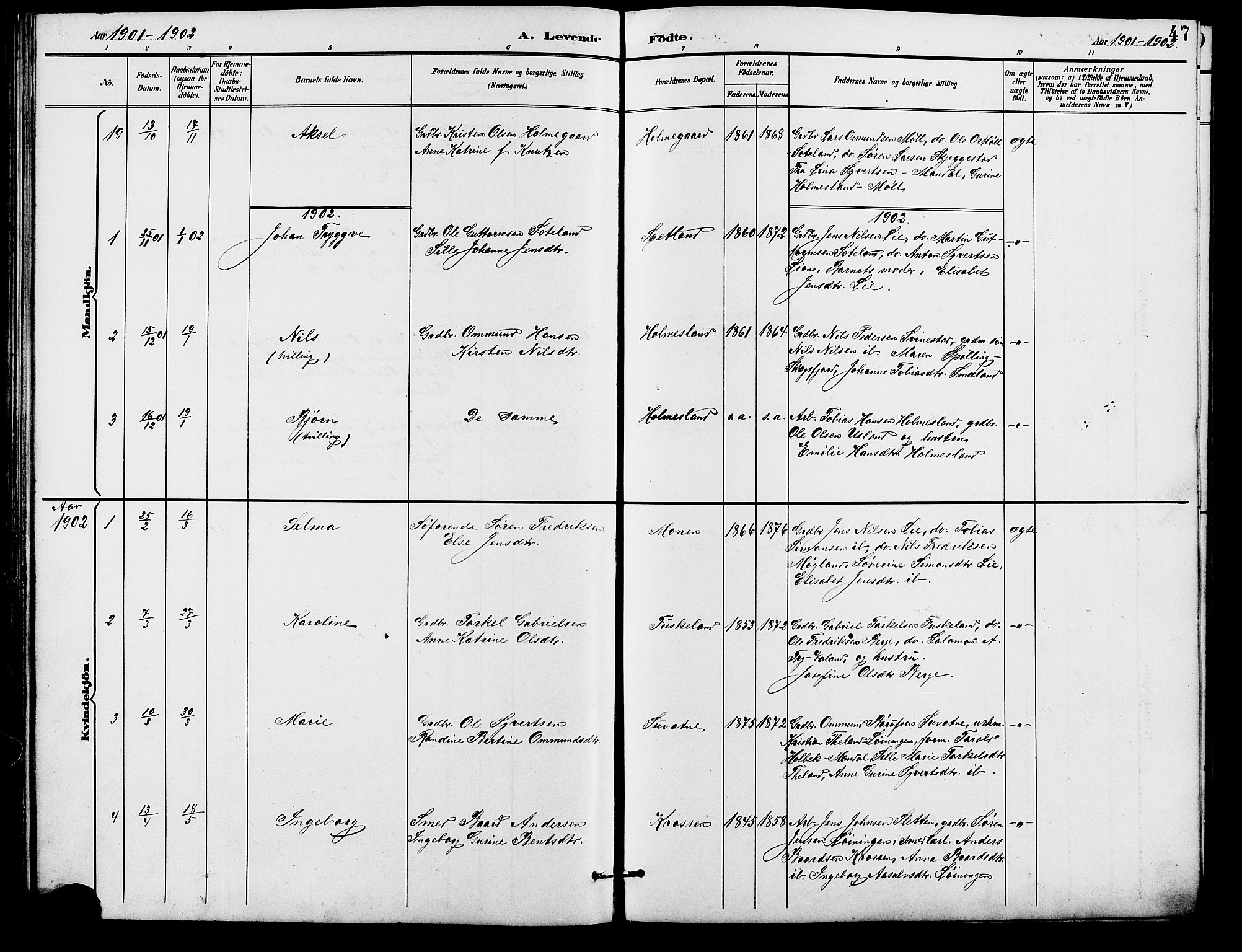 Holum sokneprestkontor, SAK/1111-0022/F/Fb/Fba/L0005: Parish register (copy) no. B 5, 1891-1909, p. 47