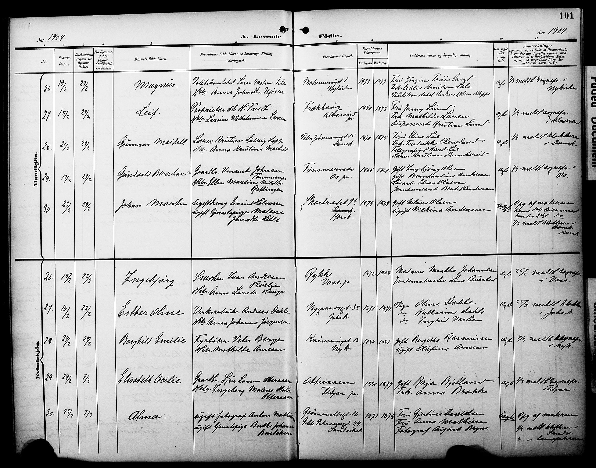 Fødselsstiftelsens sokneprestembete*, SAB/-: Parish register (official) no. A 3, 1901-1910, p. 101