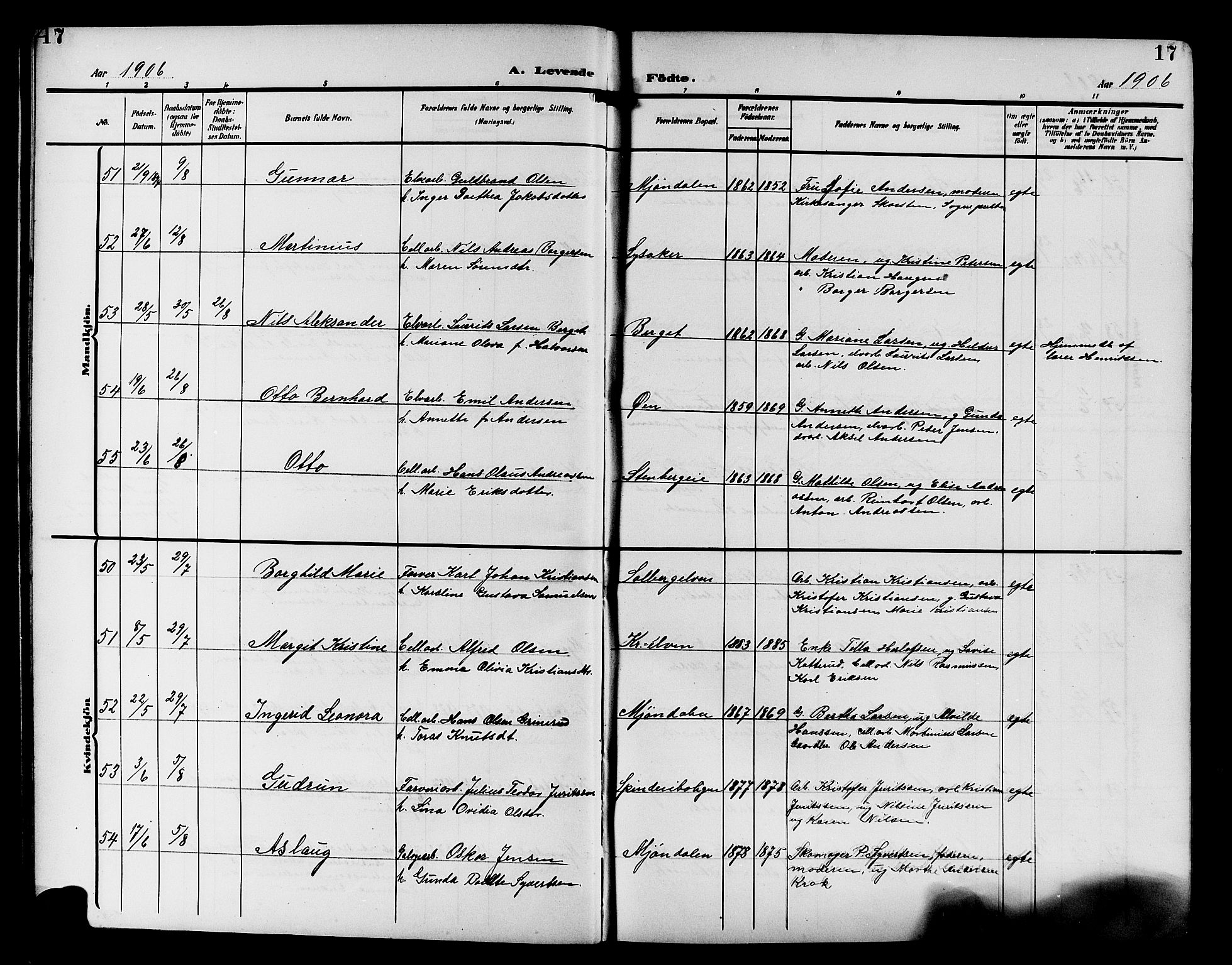 Nedre Eiker kirkebøker, AV/SAKO-A-612/G/Ga/L0004: Parish register (copy) no. 4, 1905-1912, p. 17