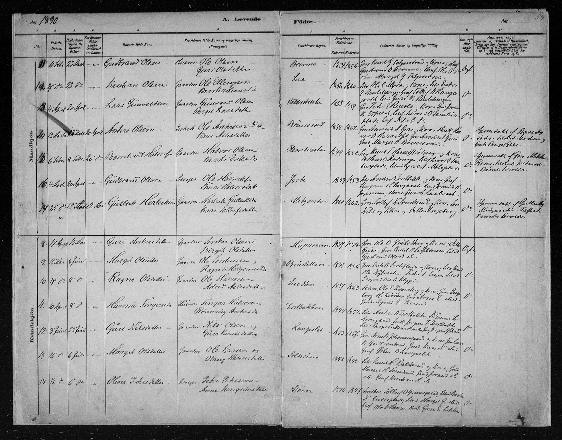 Nes kirkebøker, AV/SAKO-A-236/F/Fa/L0011: Parish register (official) no. 11, 1881-1912, p. 54