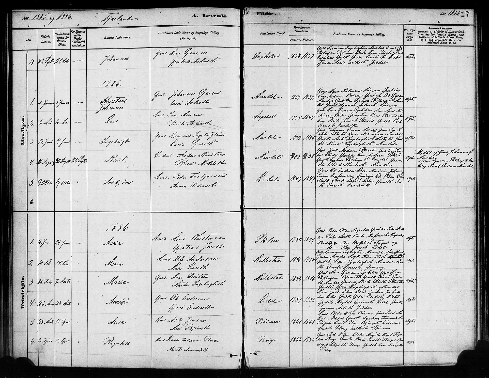 Balestrand sokneprestembete, SAB/A-79601/H/Haa/Haaa/L0004: Parish register (official) no. A 4 /2, 1879-1888, p. 17