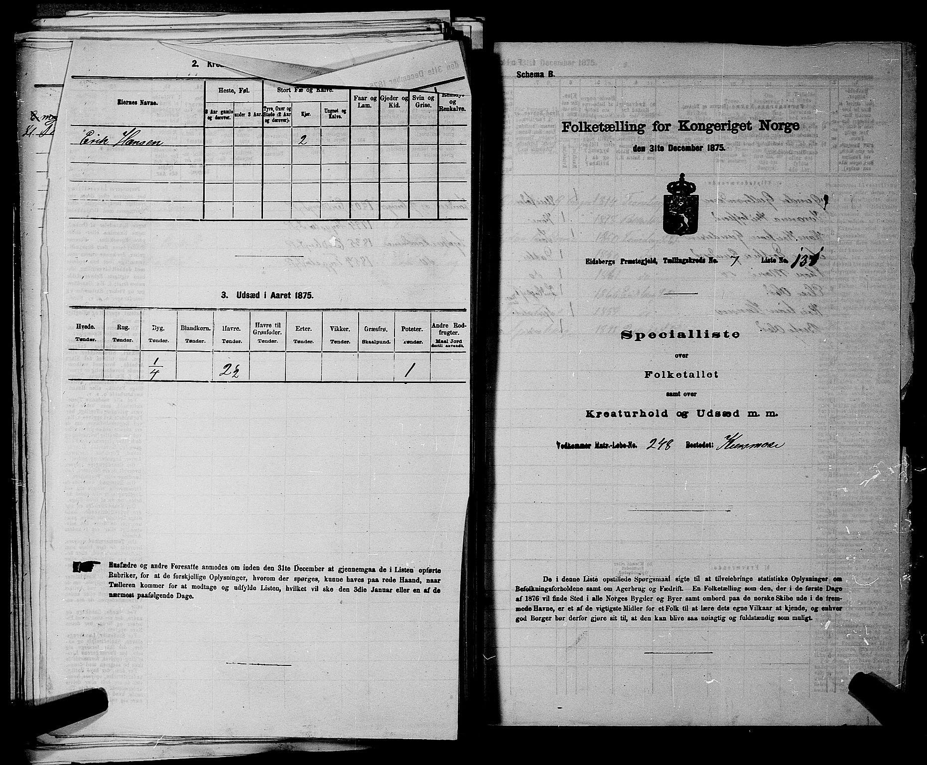 RA, 1875 census for 0125P Eidsberg, 1875, p. 1619