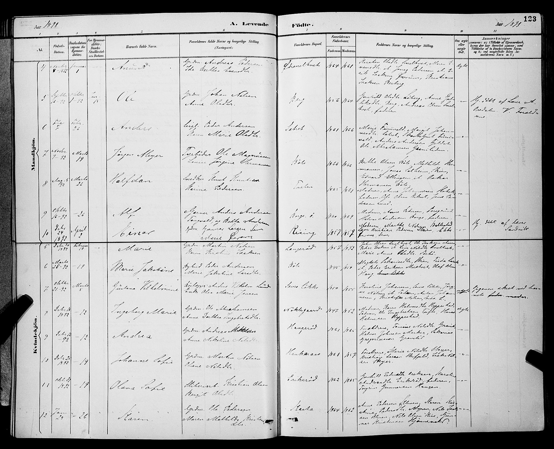 Gjerpen kirkebøker, SAKO/A-265/G/Ga/L0002: Parish register (copy) no. I 2, 1883-1900, p. 123