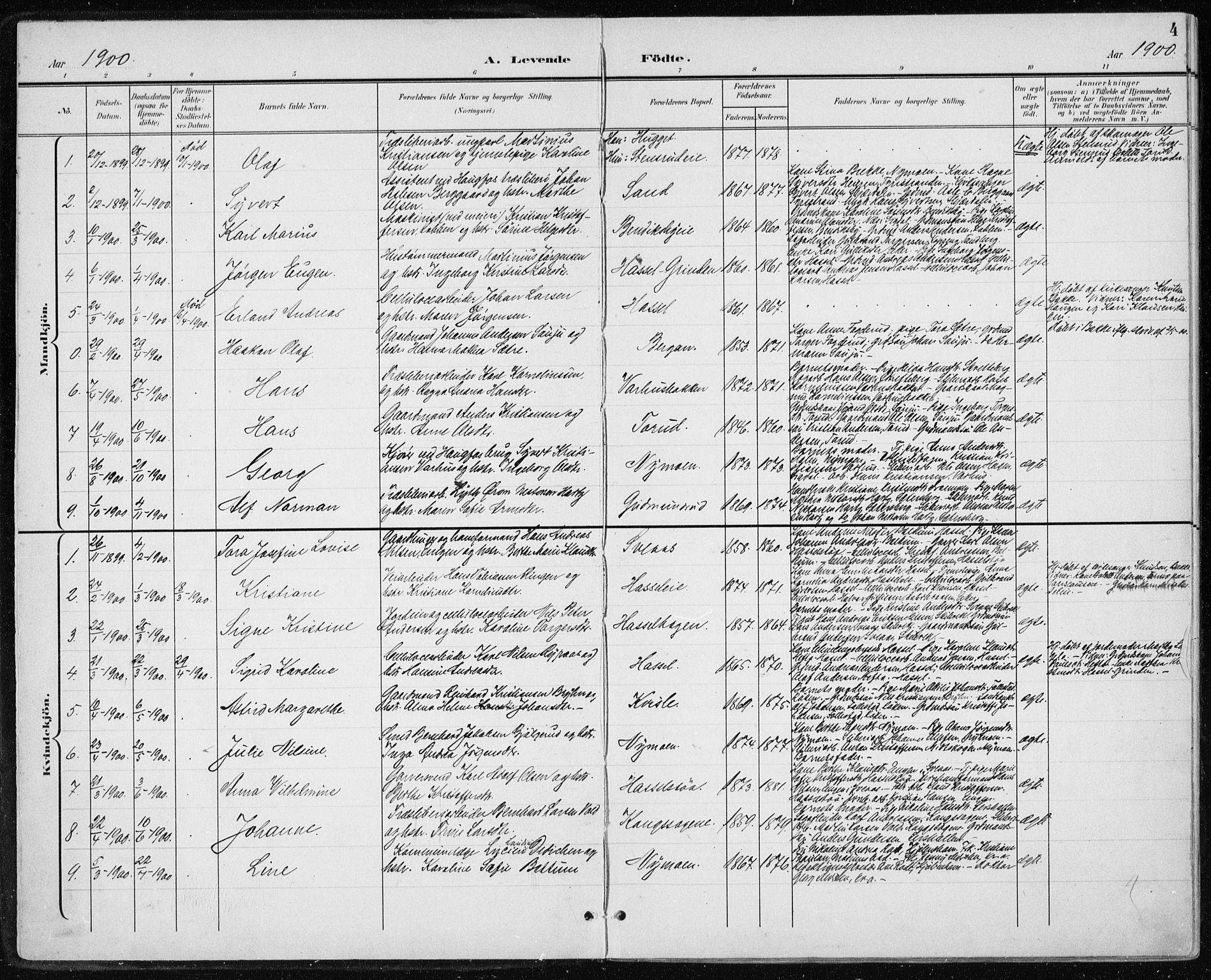 Modum kirkebøker, AV/SAKO-A-234/F/Fa/L0017: Parish register (official) no. 17, 1900-1915, p. 4