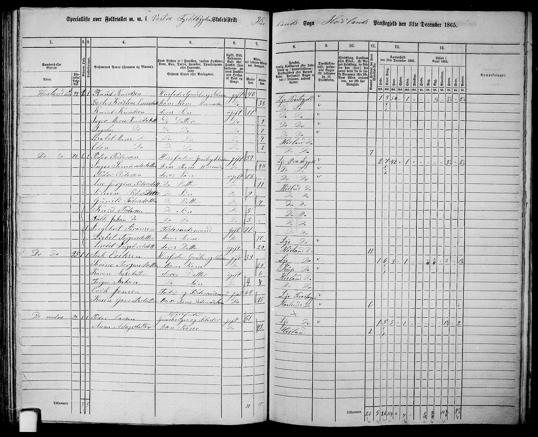 RA, 1865 census for Høyland, 1865, p. 102