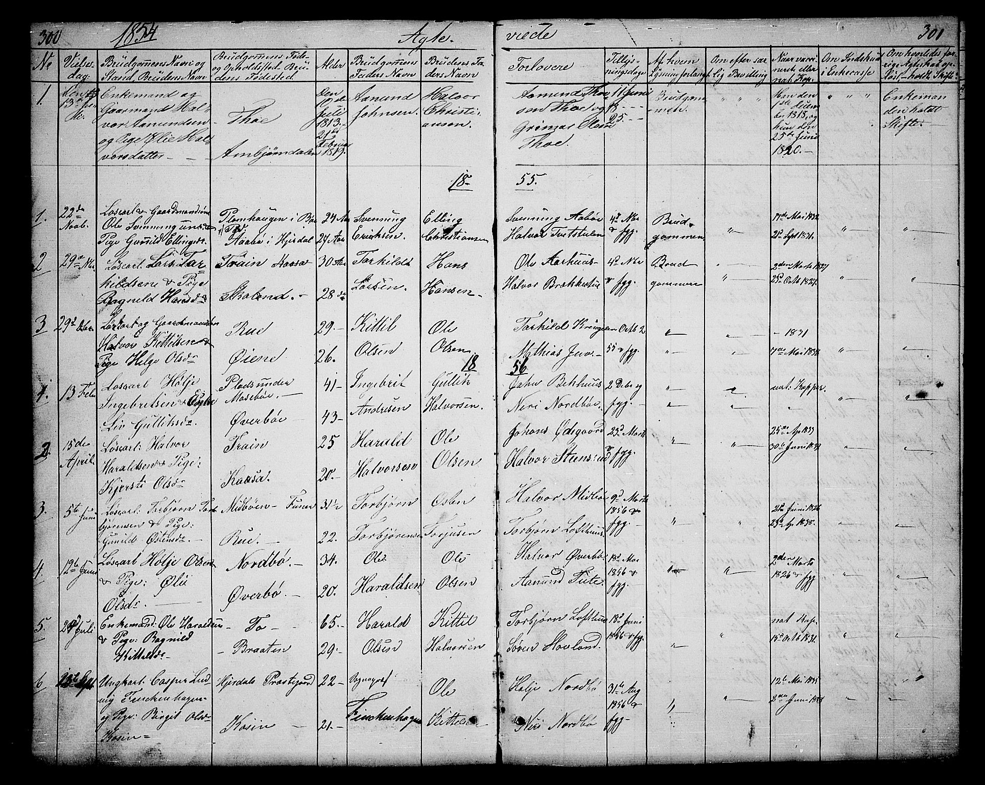 Hjartdal kirkebøker, SAKO/A-270/G/Ga/L0002: Parish register (copy) no. I 2, 1854-1888, p. 300-301