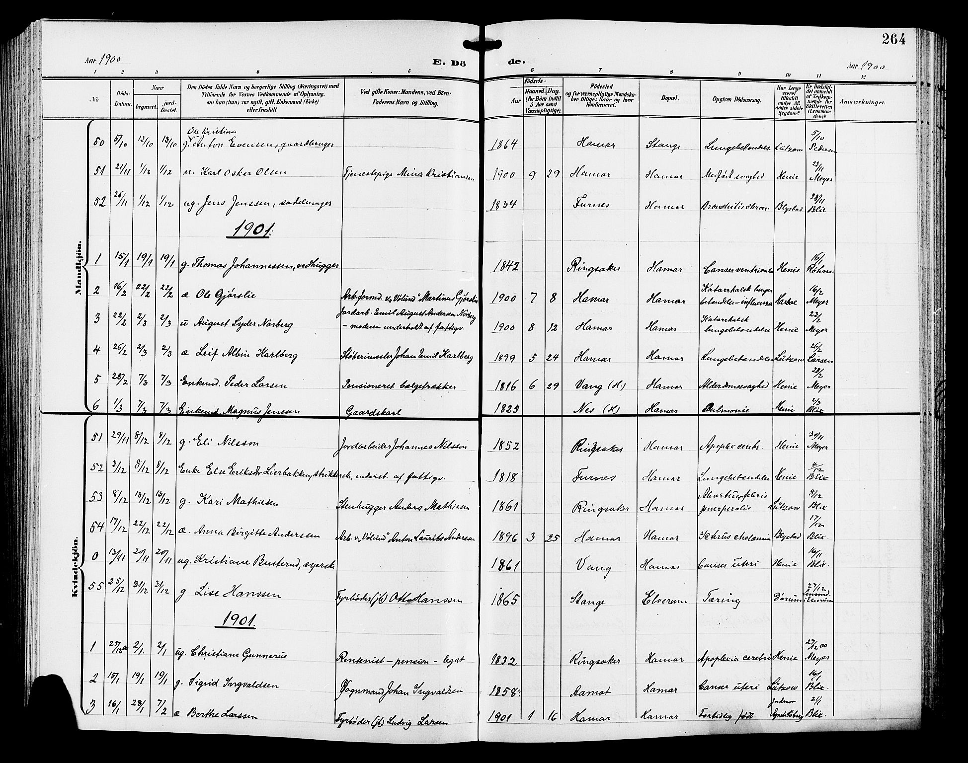 Hamar prestekontor, SAH/DOMPH-002/H/Ha/Hab/L0001: Parish register (copy) no. 1, 1899-1914, p. 264