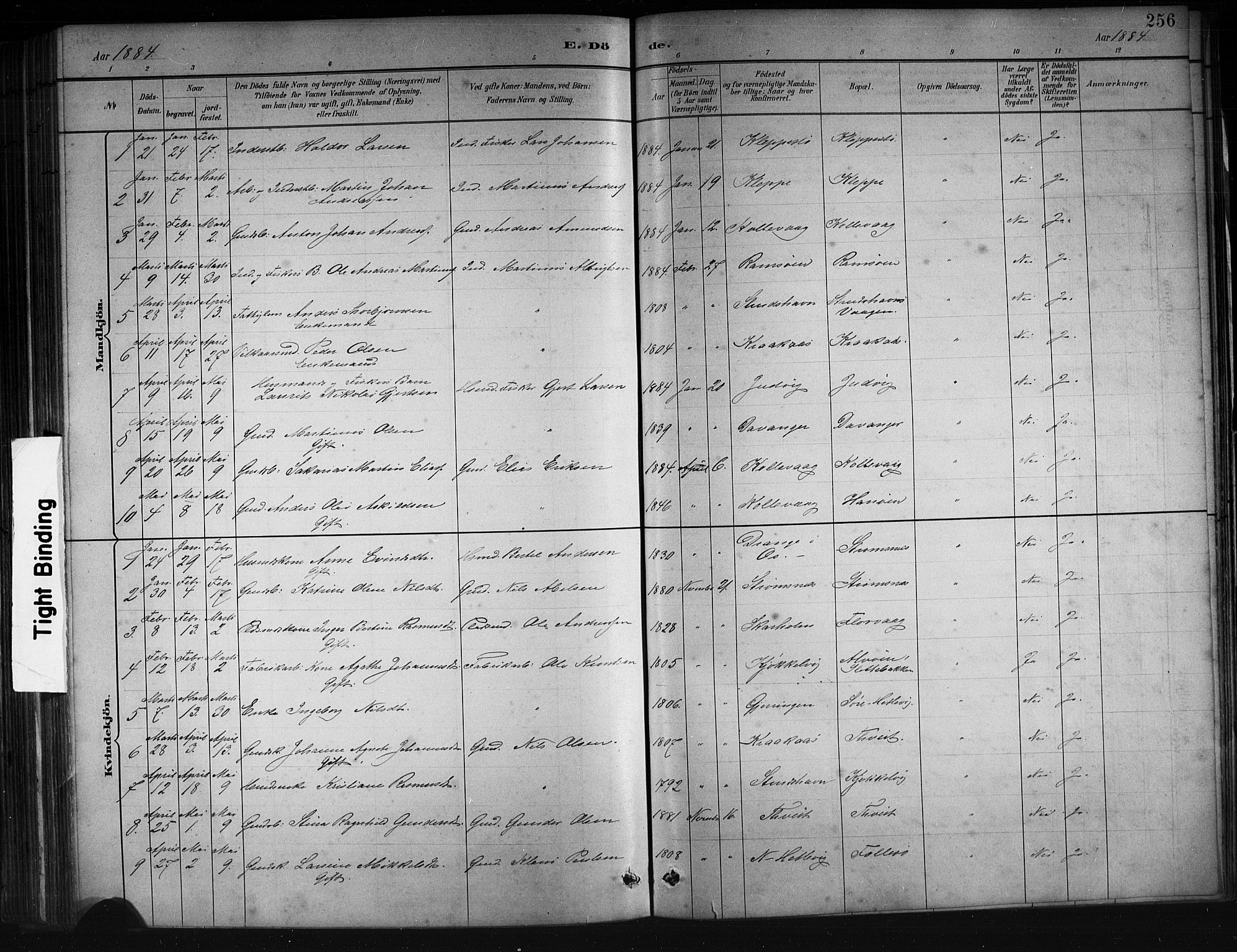 Askøy Sokneprestembete, SAB/A-74101/H/Ha/Hab/Haba/L0008: Parish register (copy) no. A 8, 1882-1893, p. 256