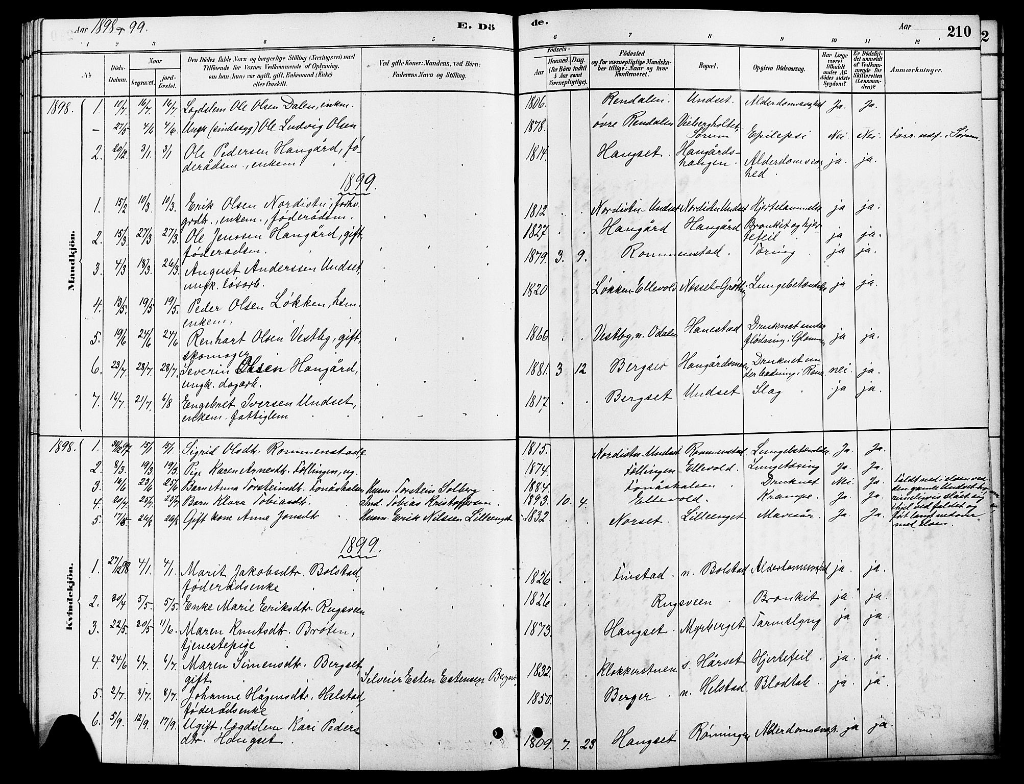 Rendalen prestekontor, SAH/PREST-054/H/Ha/Hab/L0003: Parish register (copy) no. 3, 1879-1904, p. 210