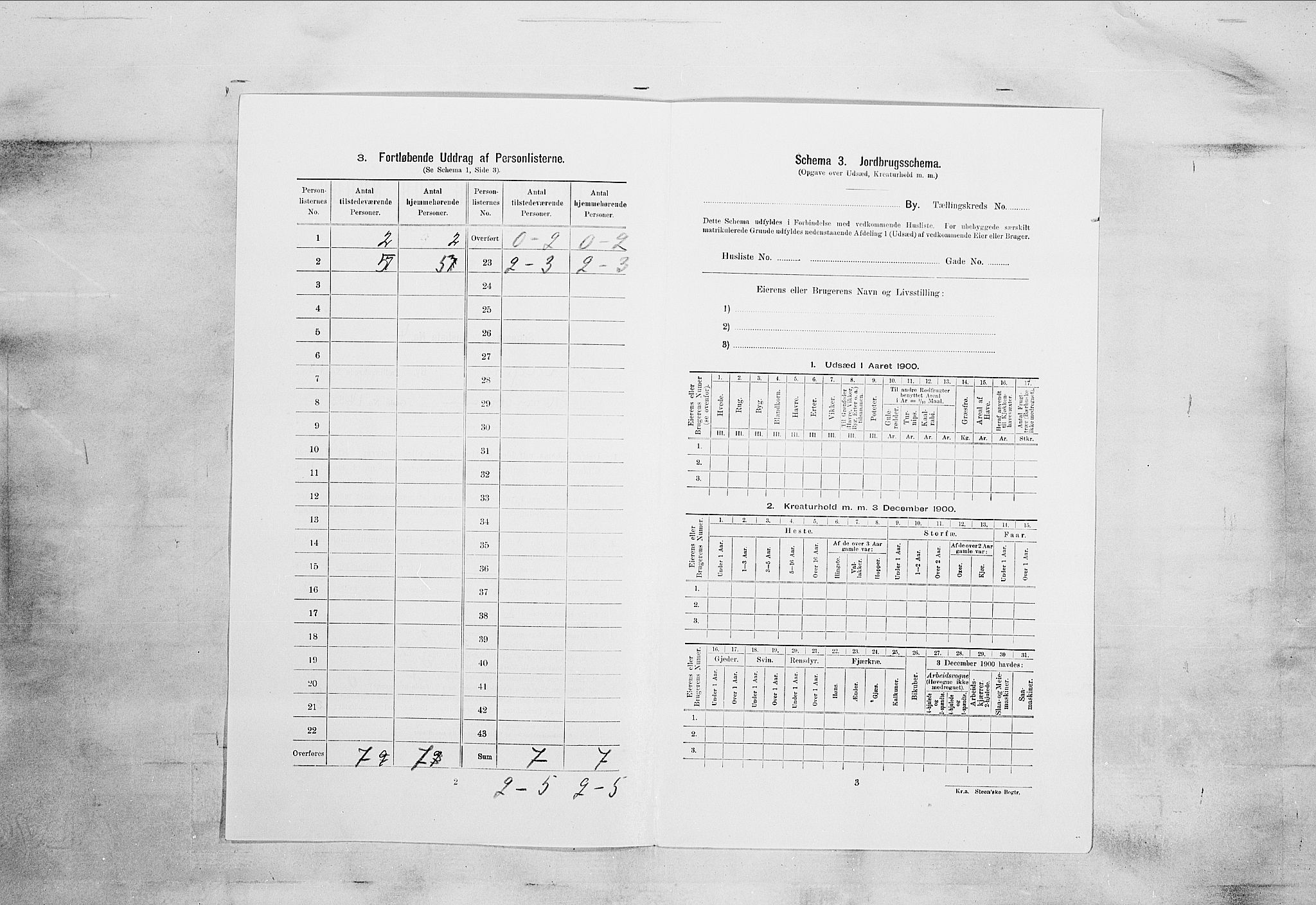 SAKO, 1900 census for Kragerø, 1900, p. 2101