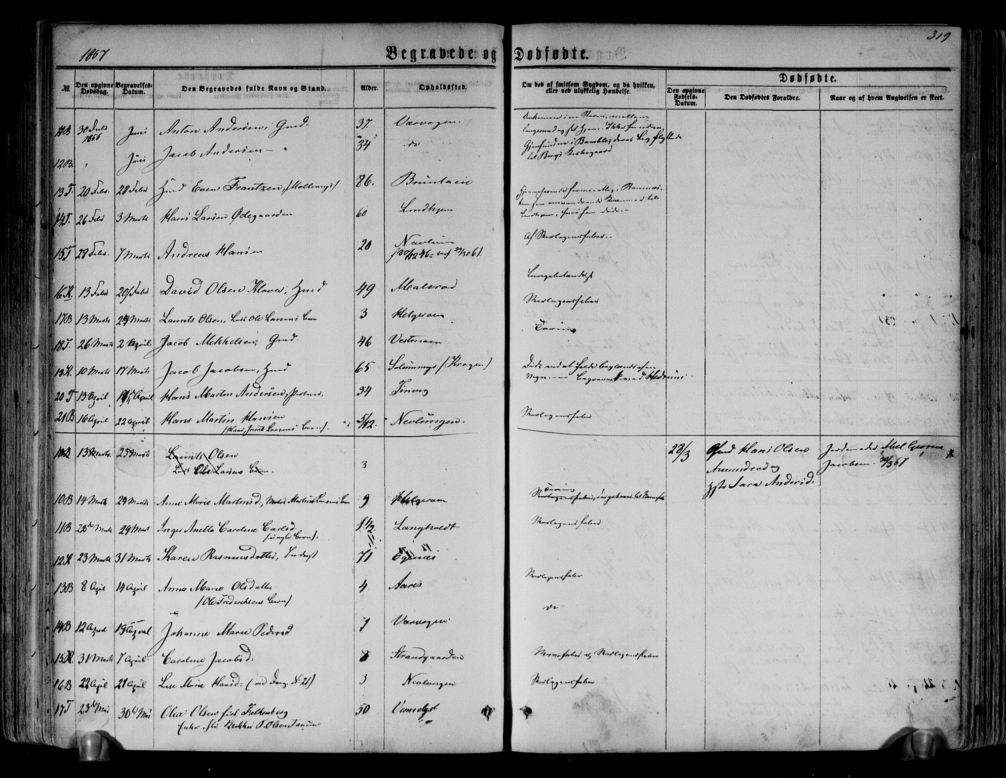 Brunlanes kirkebøker, AV/SAKO-A-342/F/Fa/L0005: Parish register (official) no. I 5, 1862-1877, p. 319